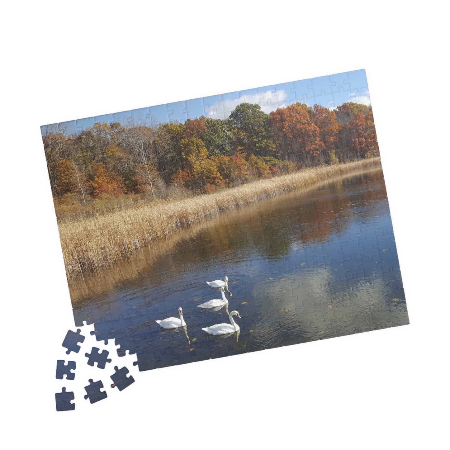 Swan Dive into Puzzling Serenity, Jigsaw Puzzle, Nature Scene, Relaxing Activity, Wildlife Lover Gift