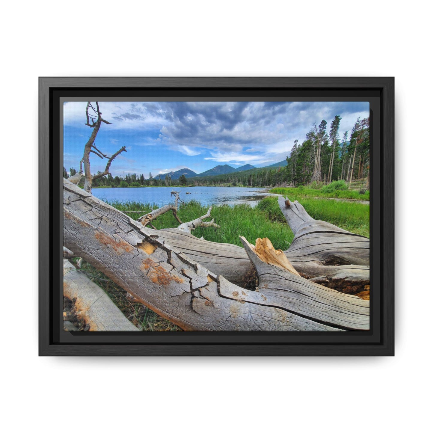 Sprague Lake