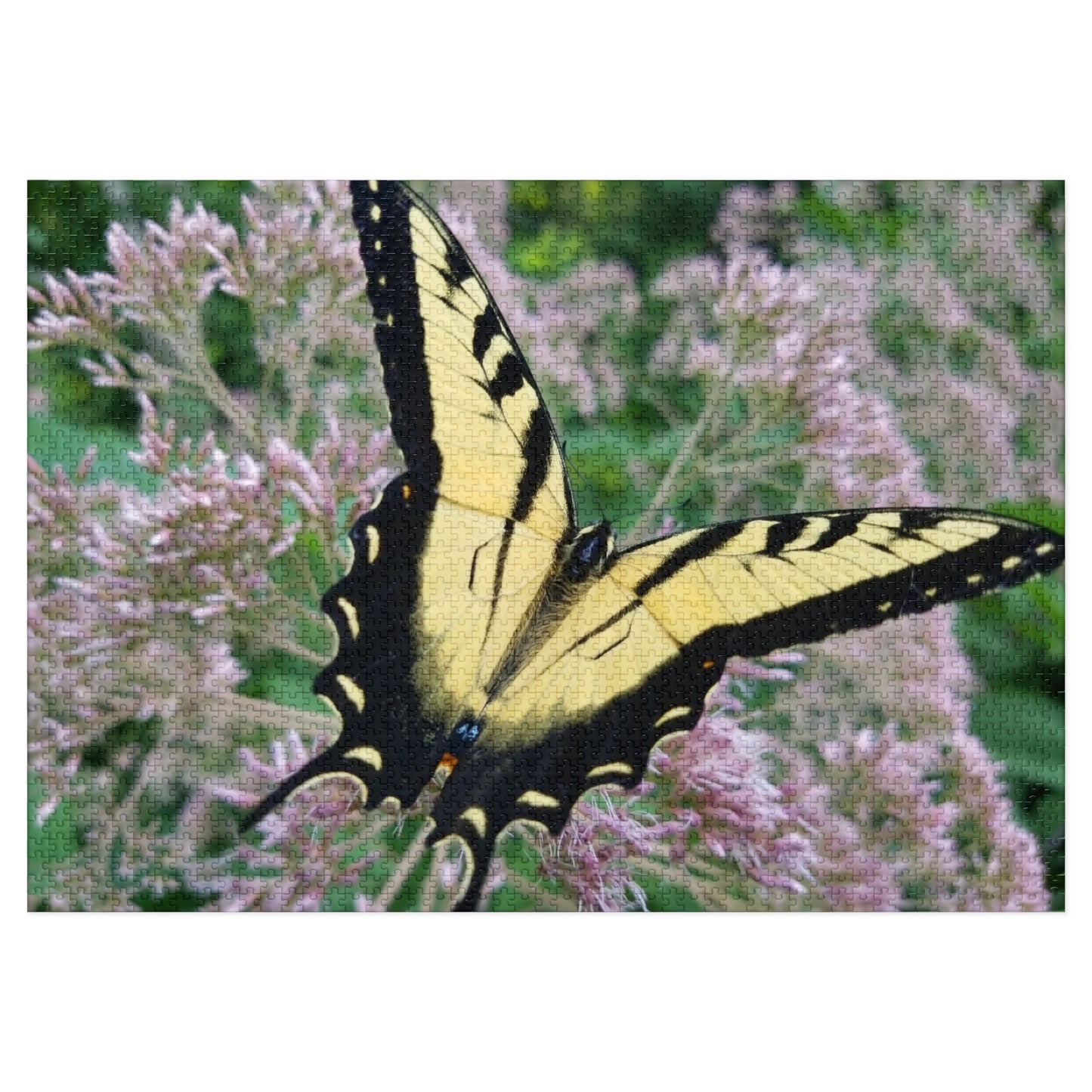 Winged Wonder on the Waterfront, Jigsaw Puzzle, Ohio River, Butterfly