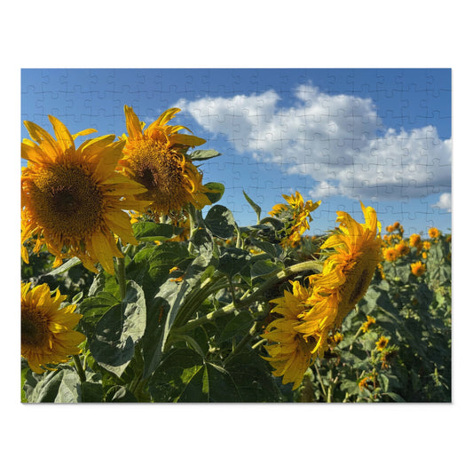 Jigsaw Puzzle: Afternoon Sunflower