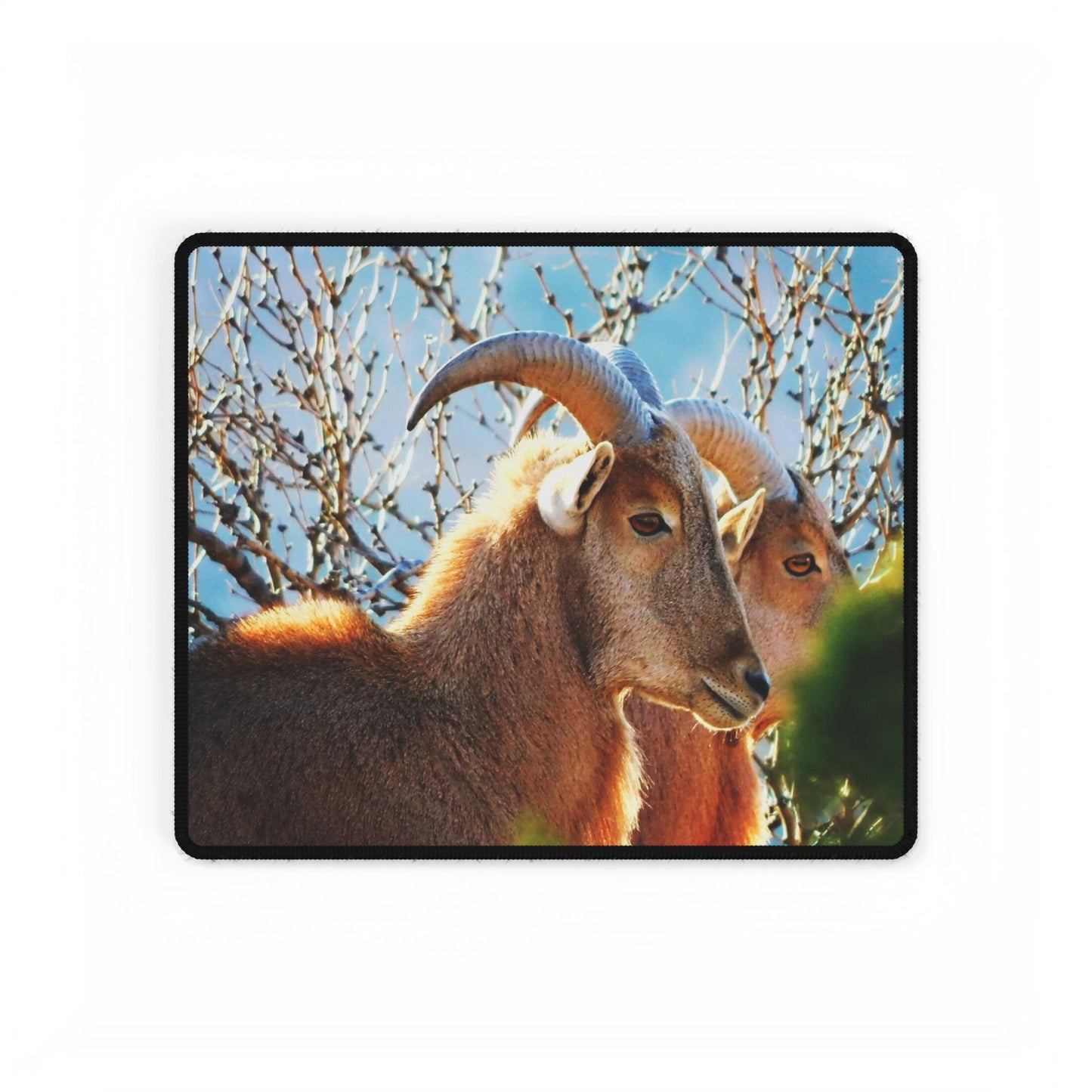 Aoudad Sheep Desk Mat, Workday Escape, One Daydream at a Time