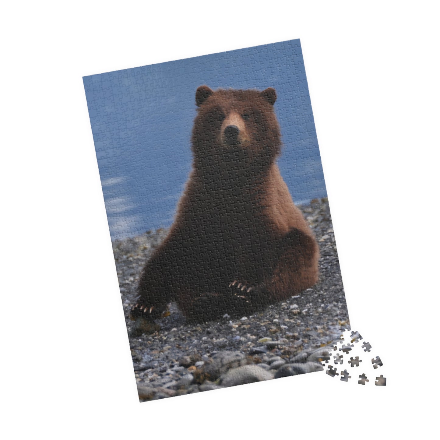 Bear With Me, Jigsaw Puzzle, Grizzly Cub