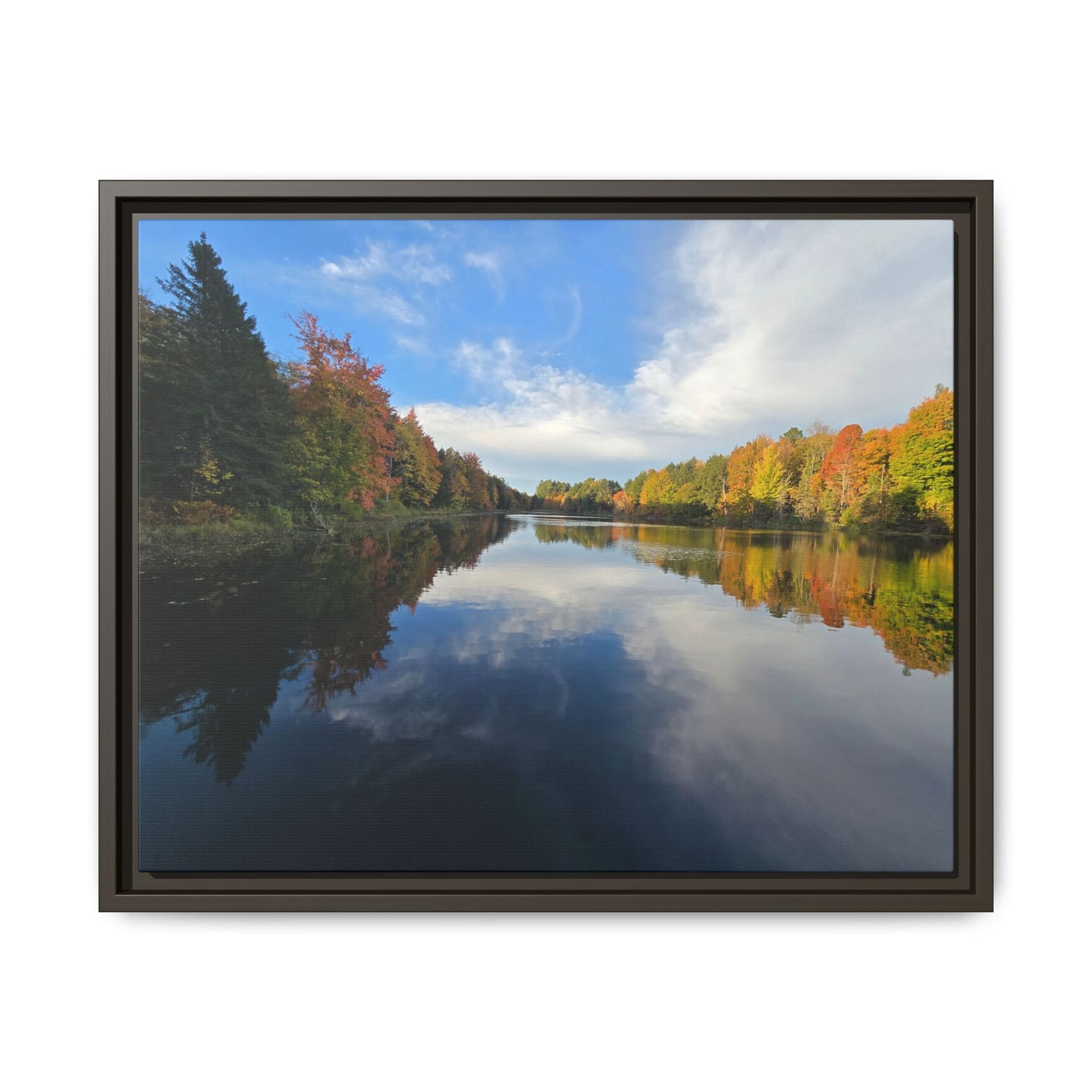 Remington Pond: Nature Showing Off Again