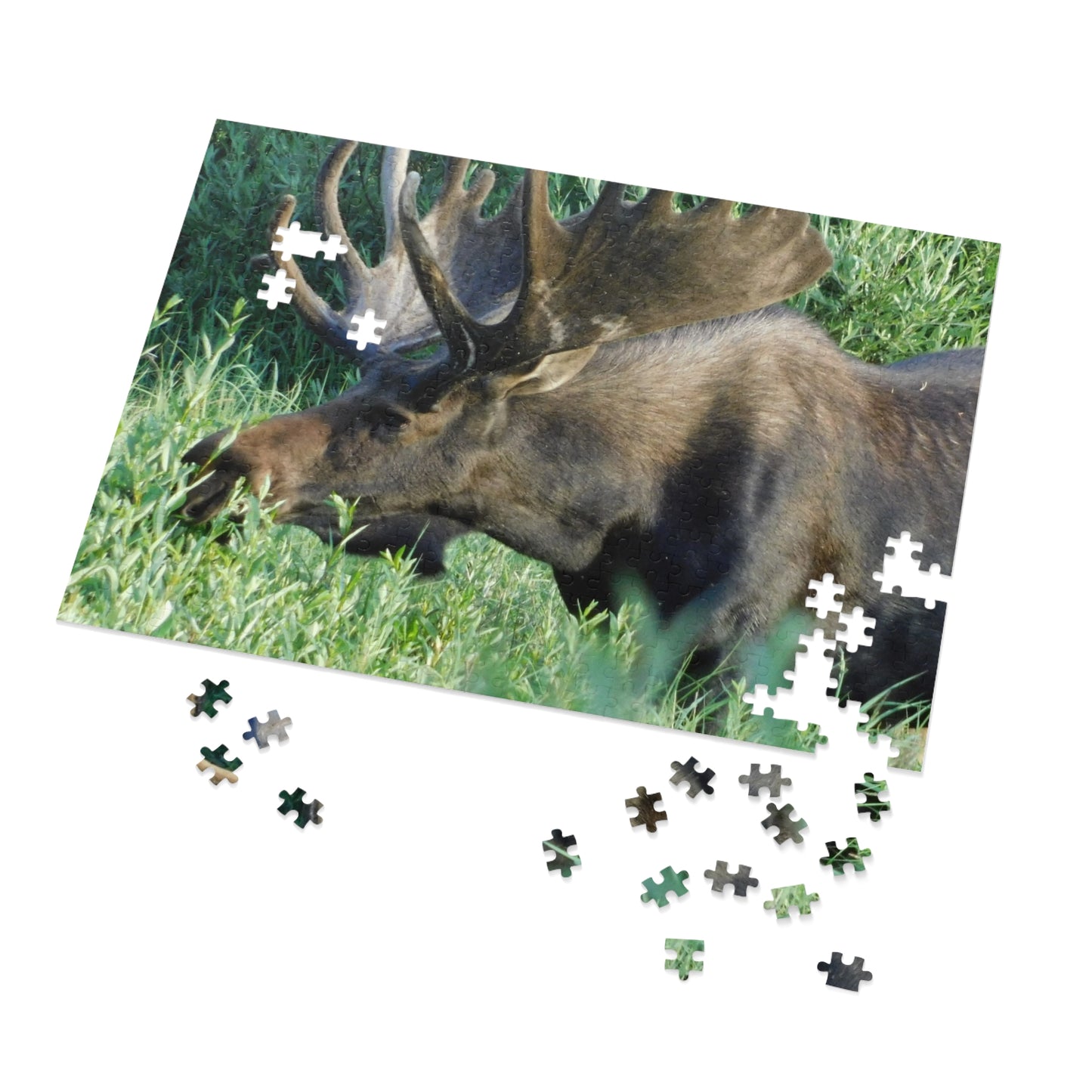 Moose on the Loose: Puzzle Edition, Jigsaw Puzzle, Rocky Mountain