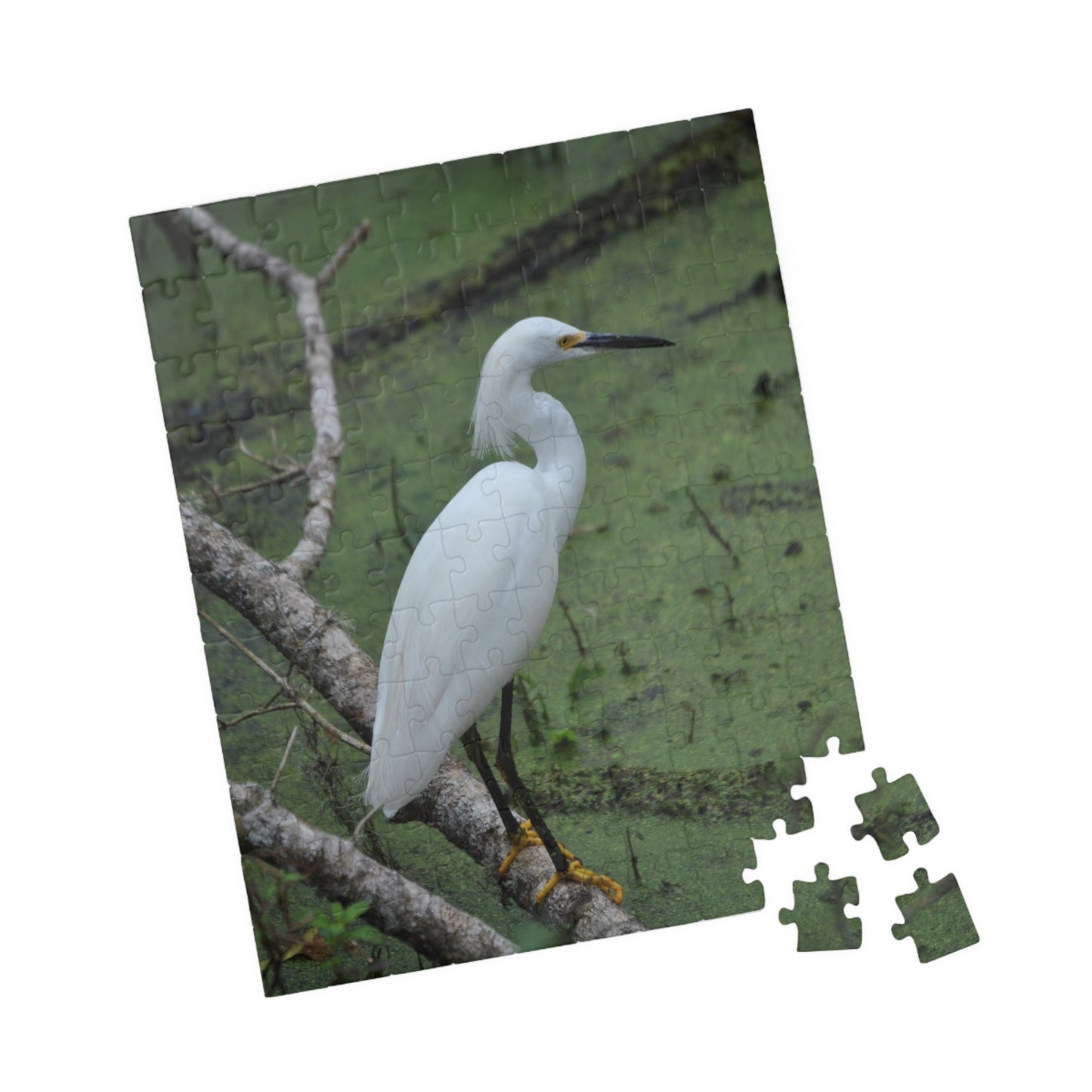 Egret Expectations: A Puzzling Escape into Serenity, Jigsaw Puzzle, Little Egret