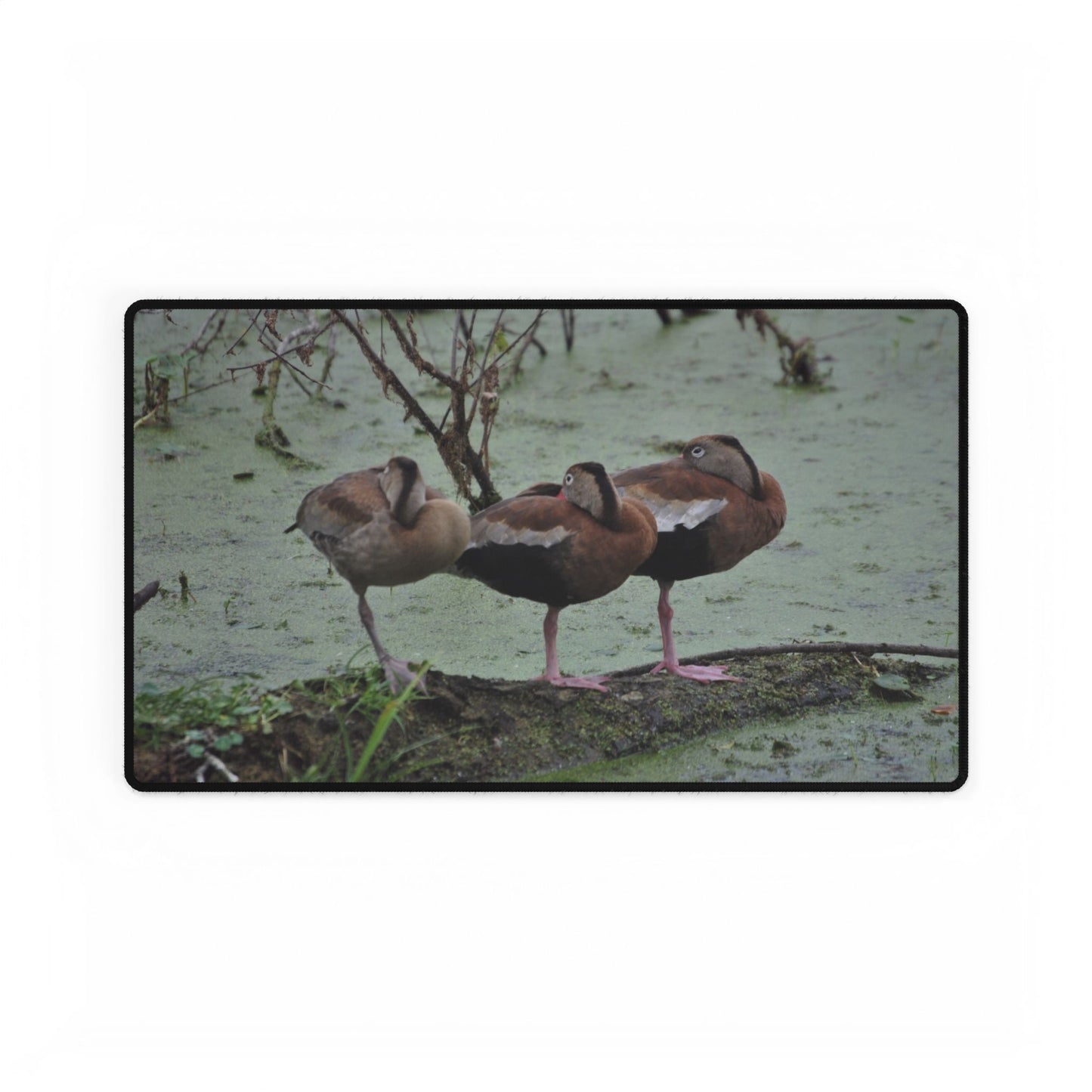 Sleeping Ducks Desk Mat, Dream Big While Pretending to Work