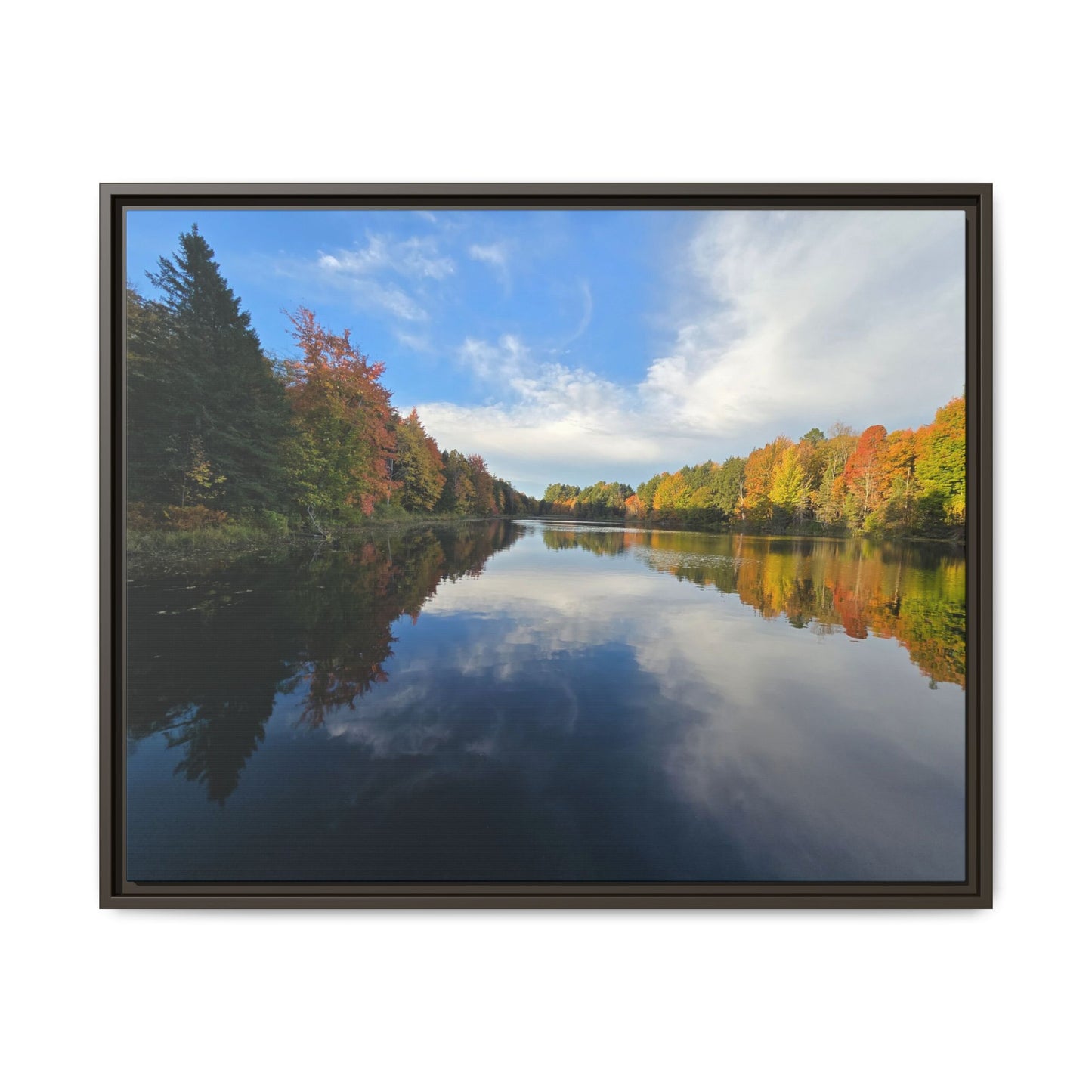 Remington Pond: Nature Showing Off Again