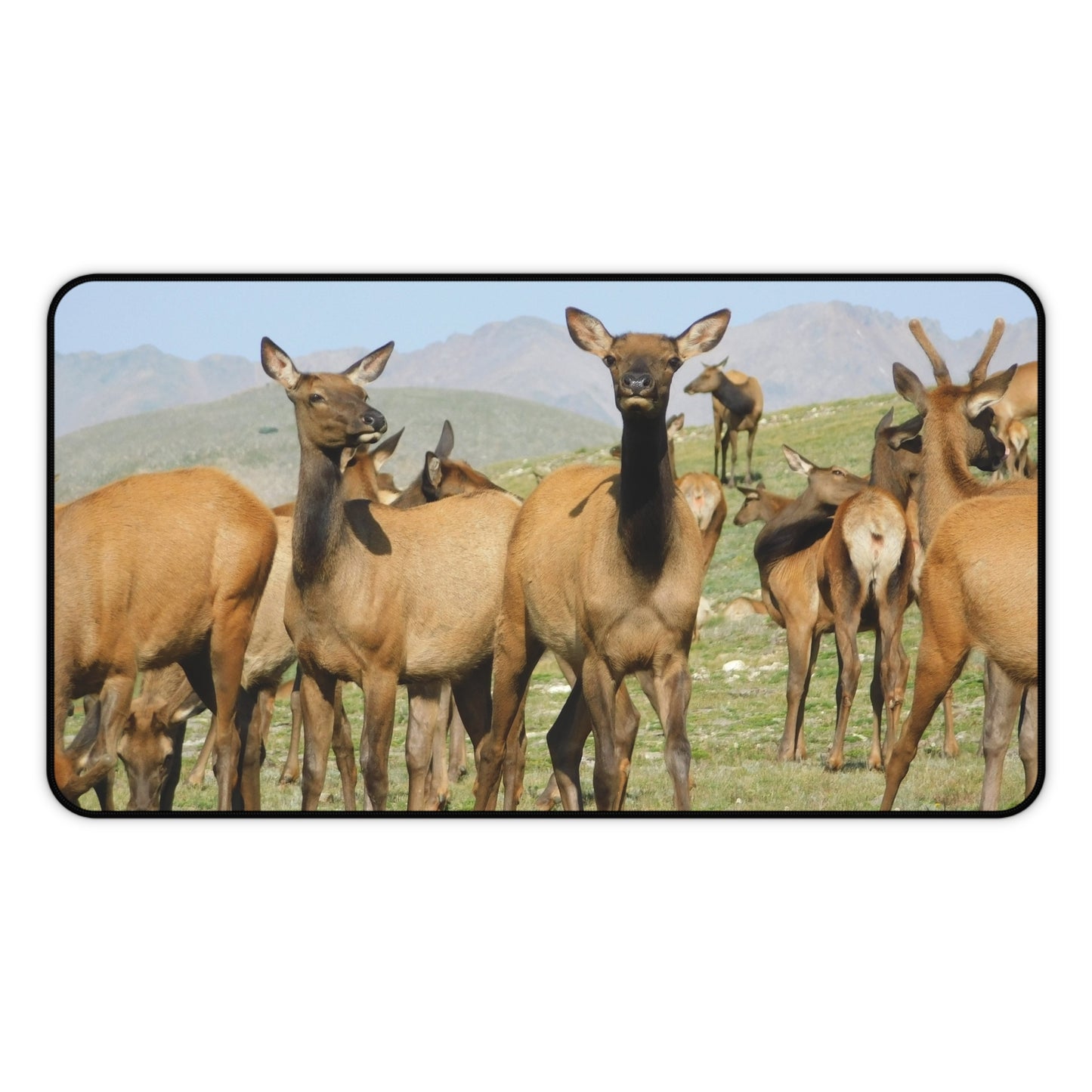 Elk-squisite Daydreams Desk Mat, Mouse Pad