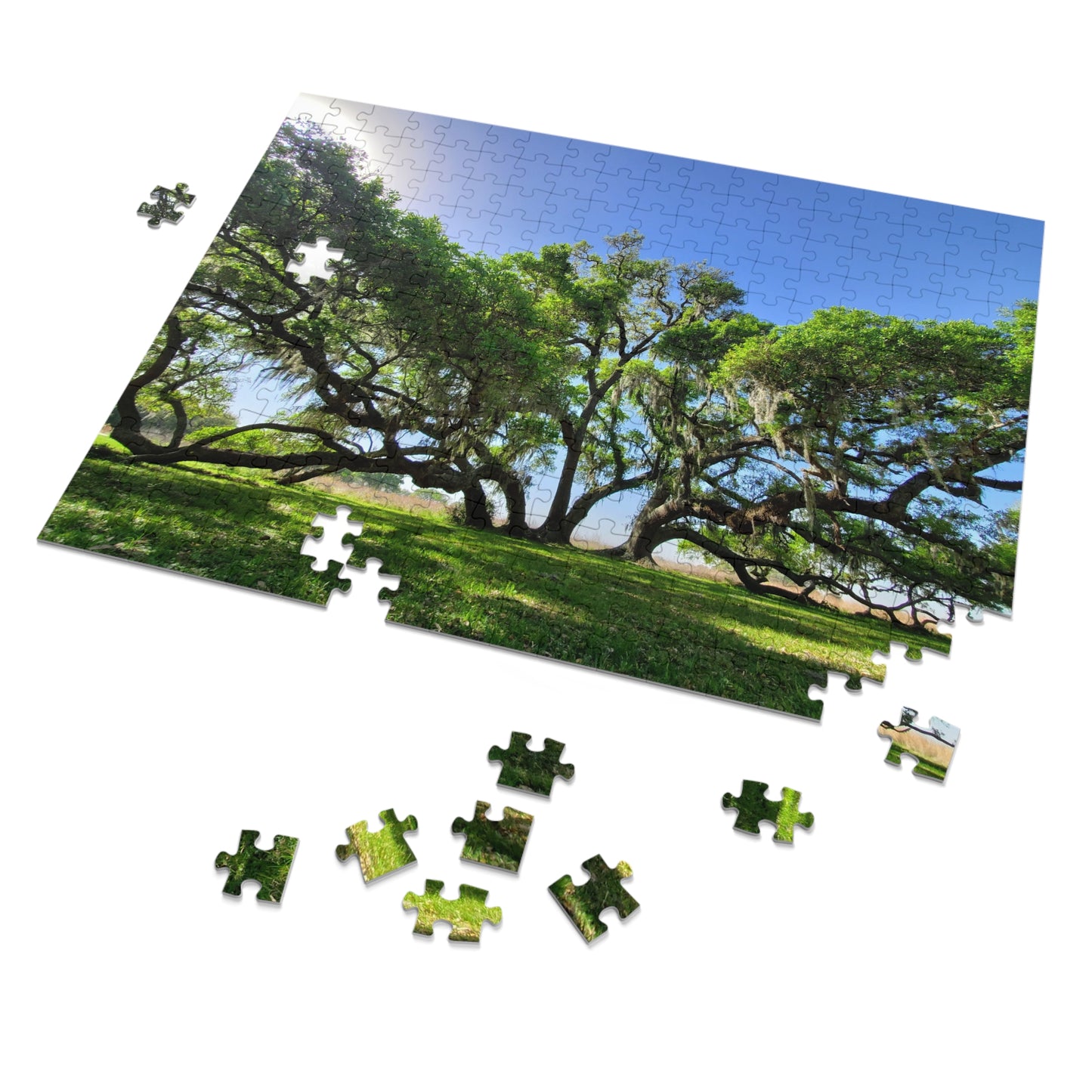 Branch Out with Our Oak Tree Puzzle!, Jigsaw Puzzle with Tin