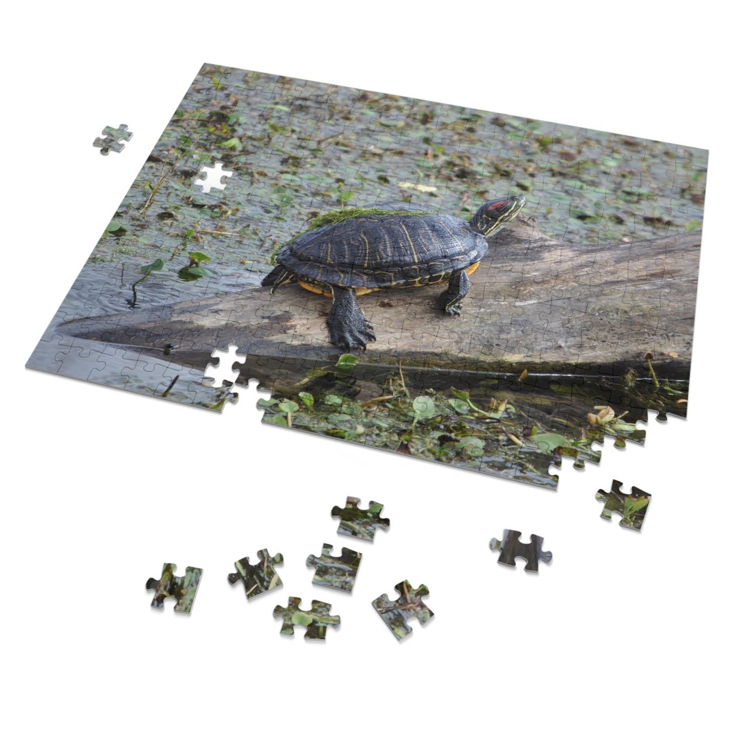 Shell-ebrate Sunbathing!, Jigsaw Puzzle with Tin