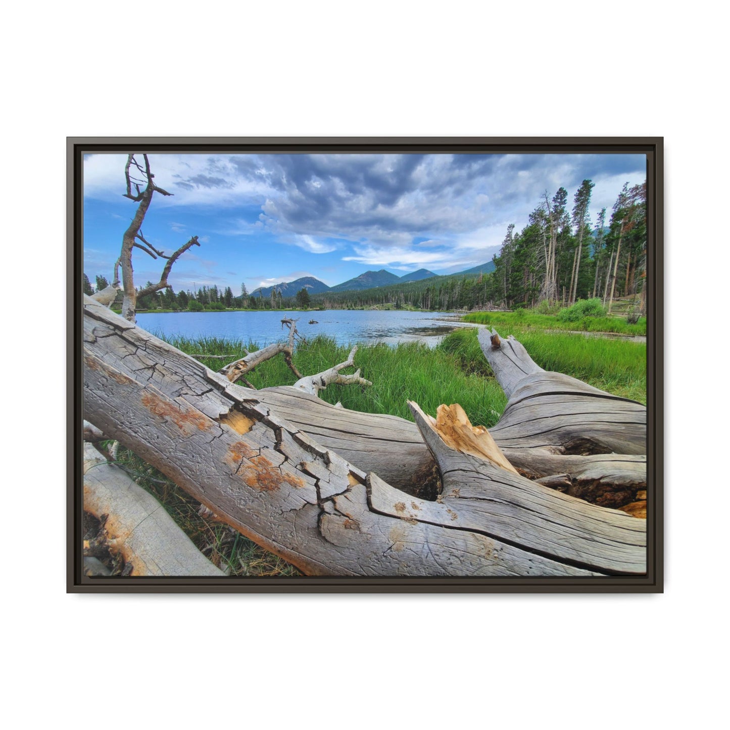 Sprague Lake