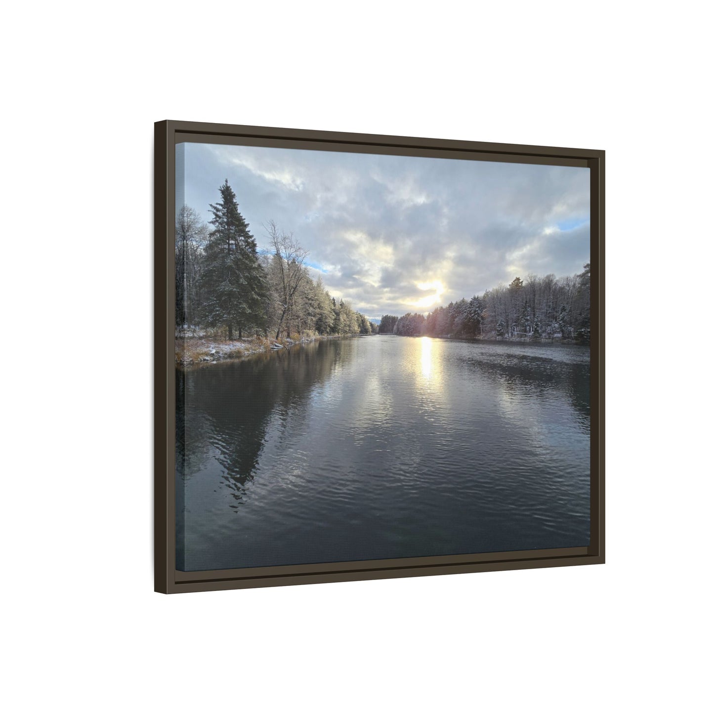 Winters Reflection