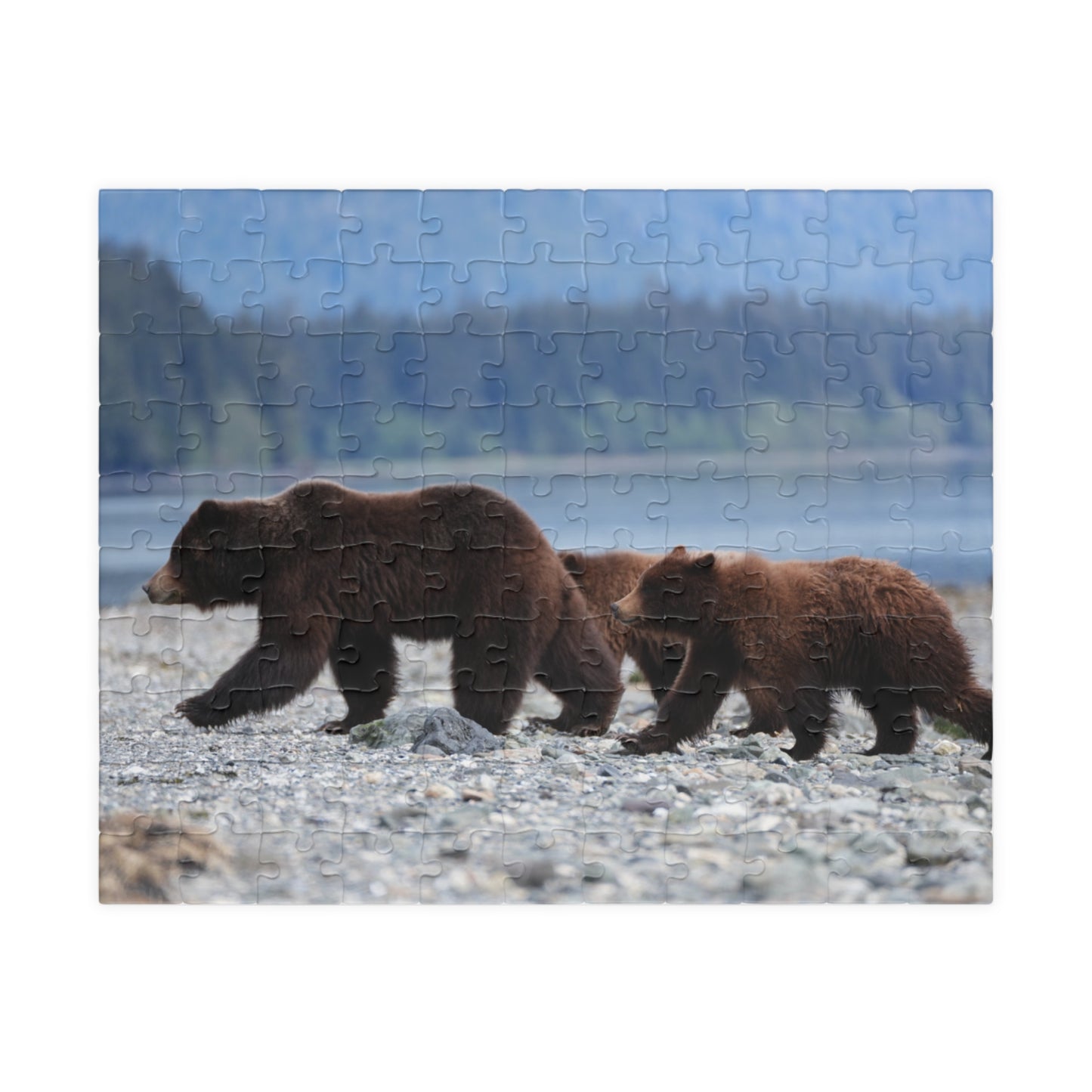 Clamming Up: A Bear-y Fun Puzzle Adventure, Jigsaw Puzzle, Jigsaw Game for Kids and Adults, Wildlife Animal Design, Relaxing Hobby