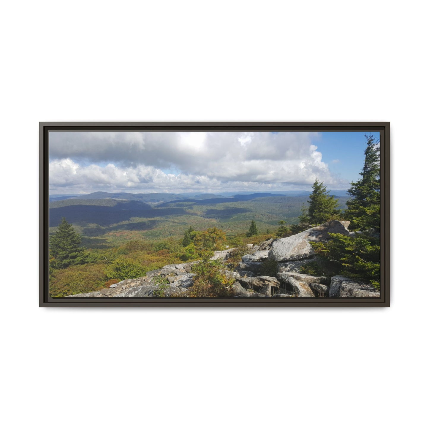 Spruce Knob Summit View