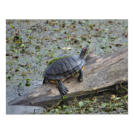 Shell-ebrate Sunbathing!, Jigsaw Puzzle with Tin