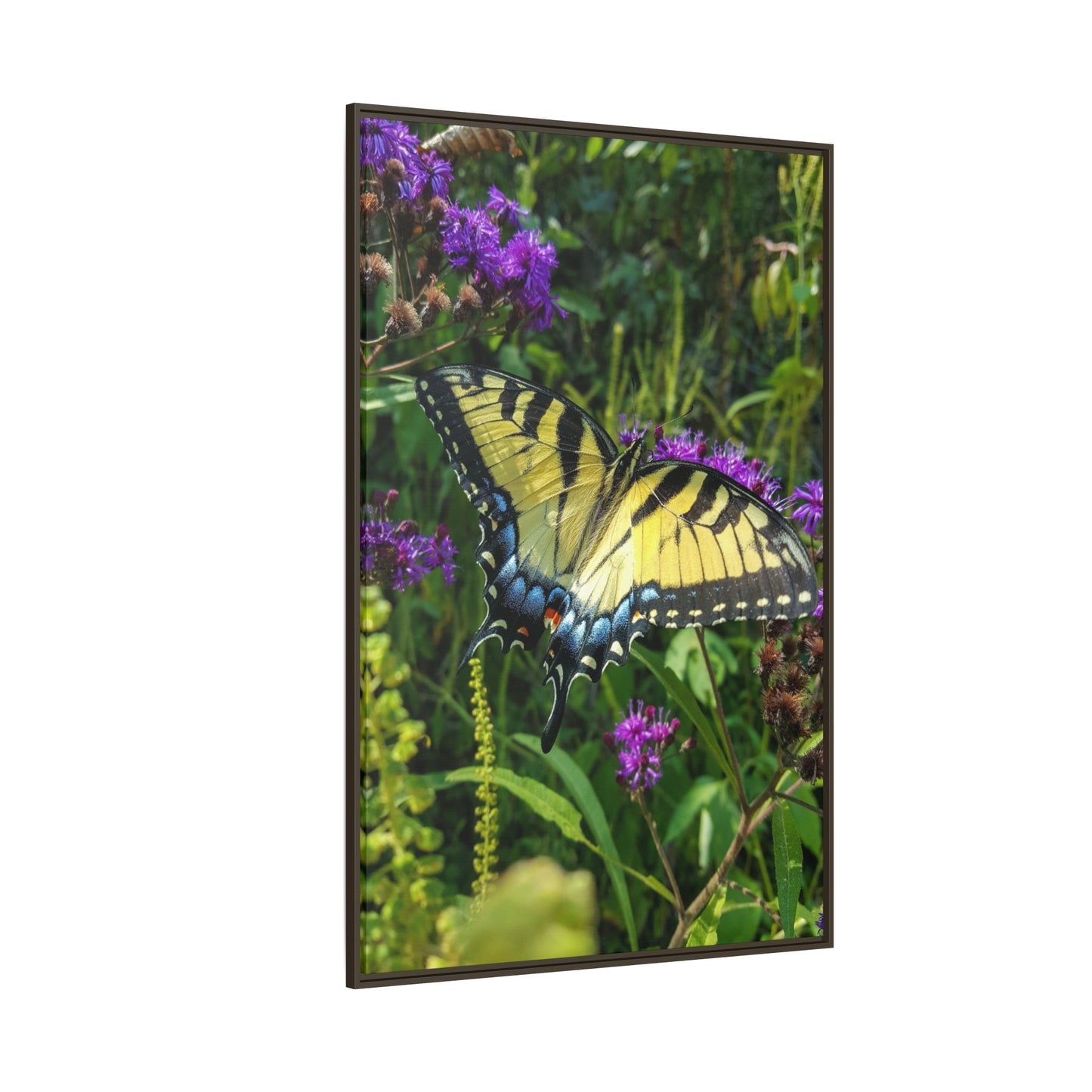 Tiger in the Wildflowers