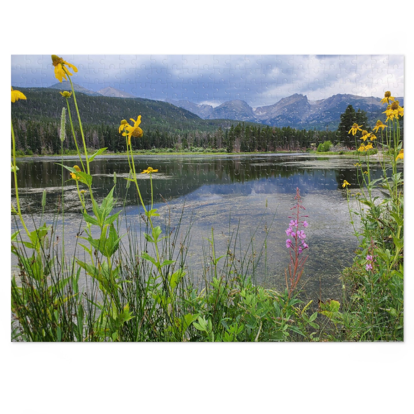 A Walk to Remember, Now in 2,000 Tiny Pieces, Jigsaw Puzzle, Rocky Mountain National Park