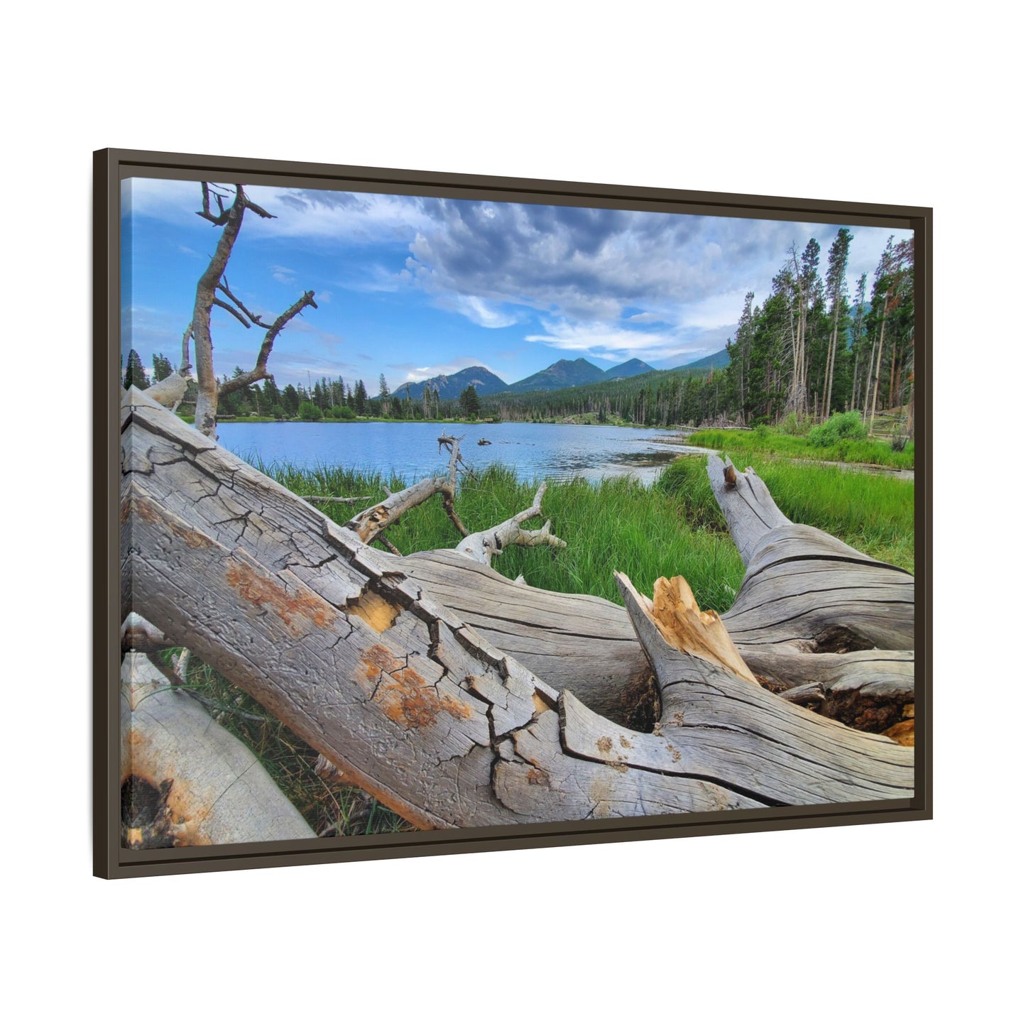 Sprague Lake