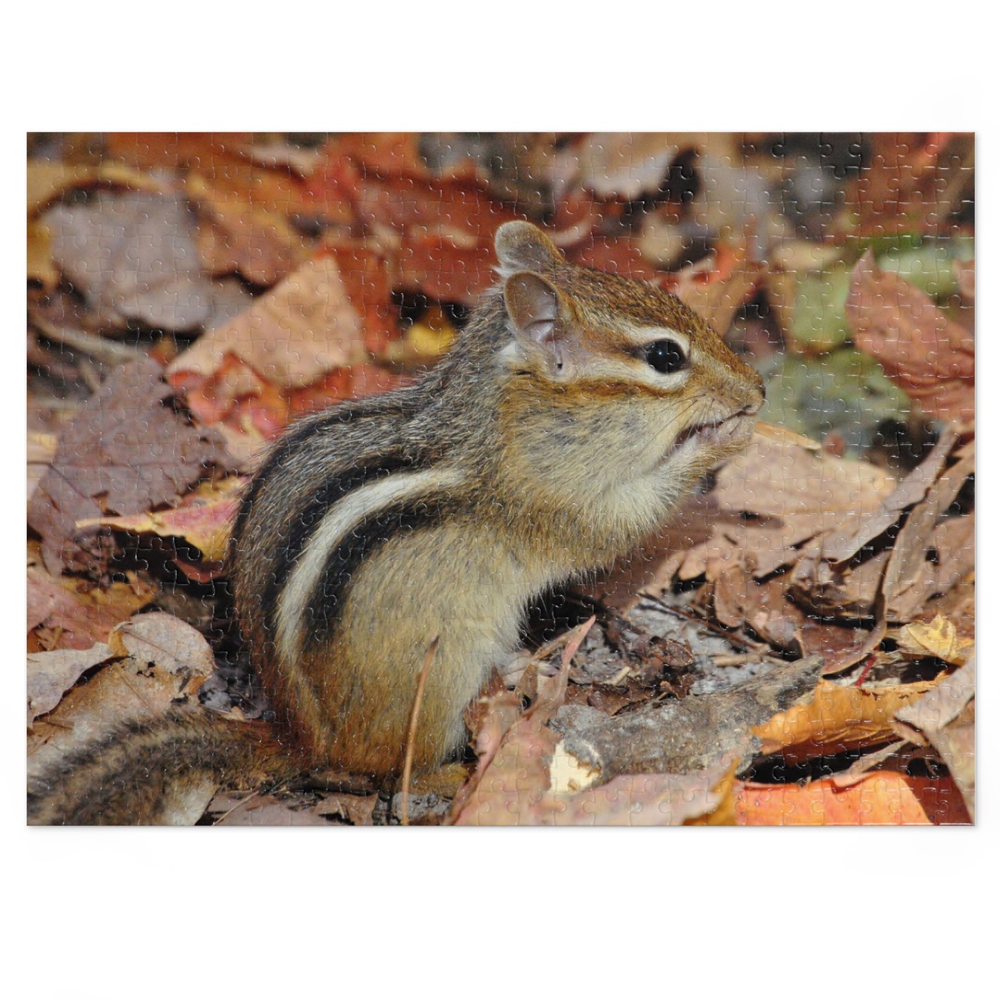 Charming Chipmunk Chaos, Jigsaw Puzzle, Chipmunk Design