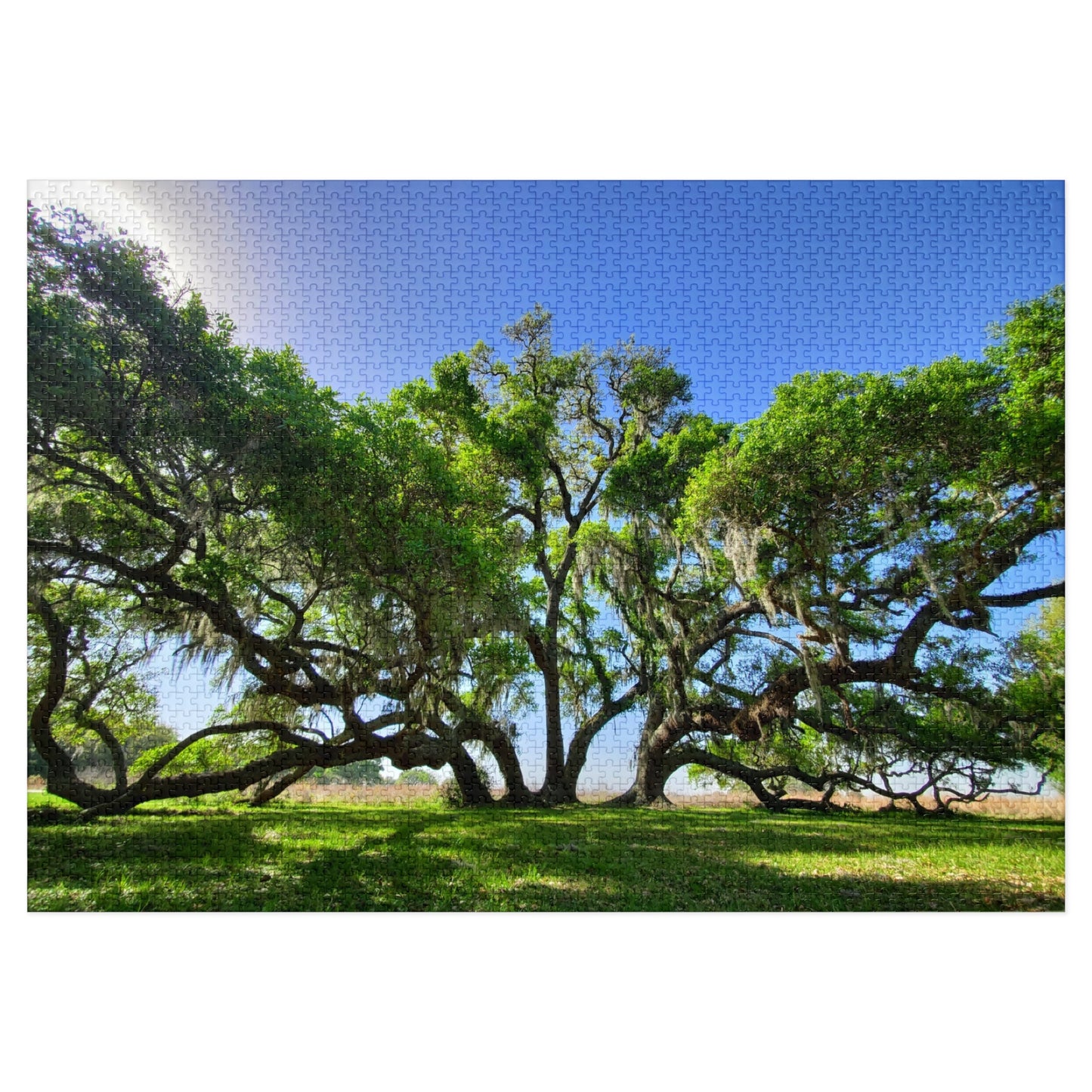 Branch Out with Our Oak Tree Puzzle!, Jigsaw Puzzle with Tin