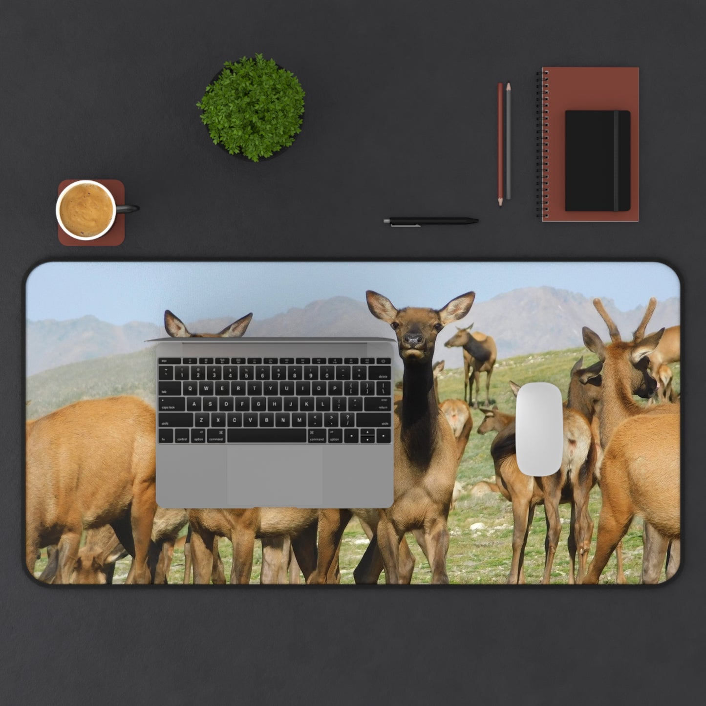 Elk-squisite Daydreams Desk Mat, Mouse Pad