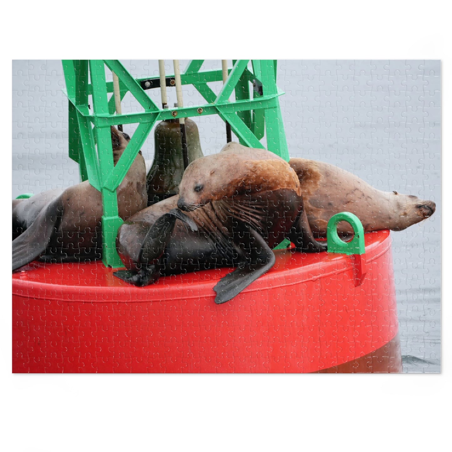 Buoy, That’s a Lot of Pieces!, Jigsaw Puzzle, Sea Lions