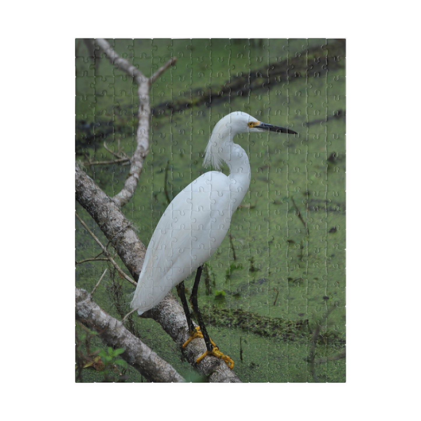 Egret Expectations: A Puzzling Escape into Serenity, Jigsaw Puzzle, Little Egret