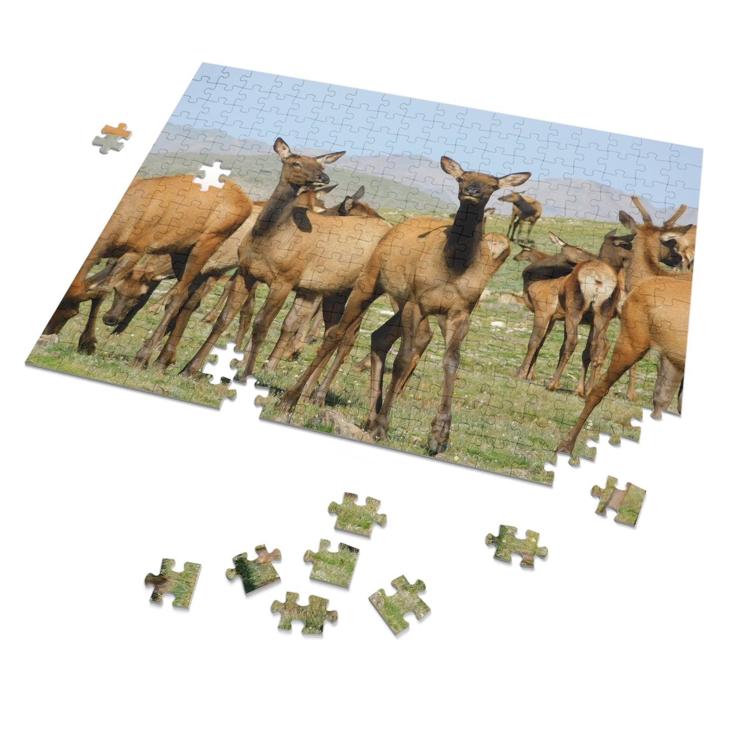 Elk-straordinary Challenge, Jigsaw Puzzle, Rocky Mountain Elk Herd