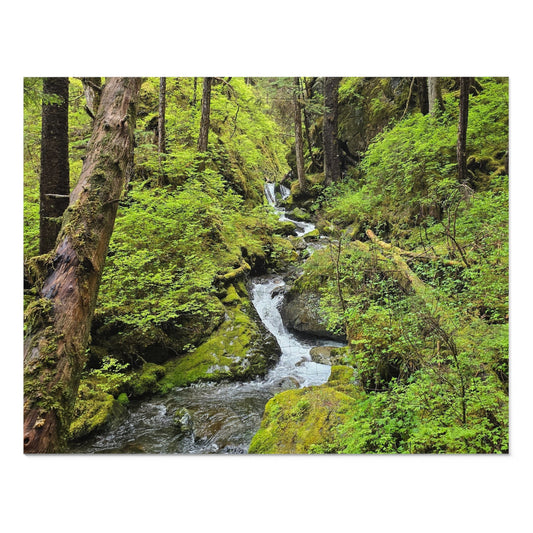 Jigsaw Puzzle - Alaskan Mountain Stream