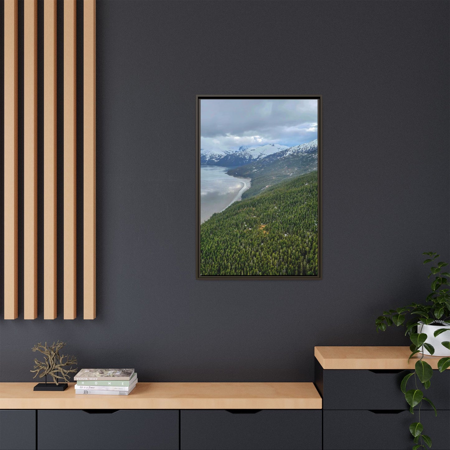 Alaska Mountains Aerial