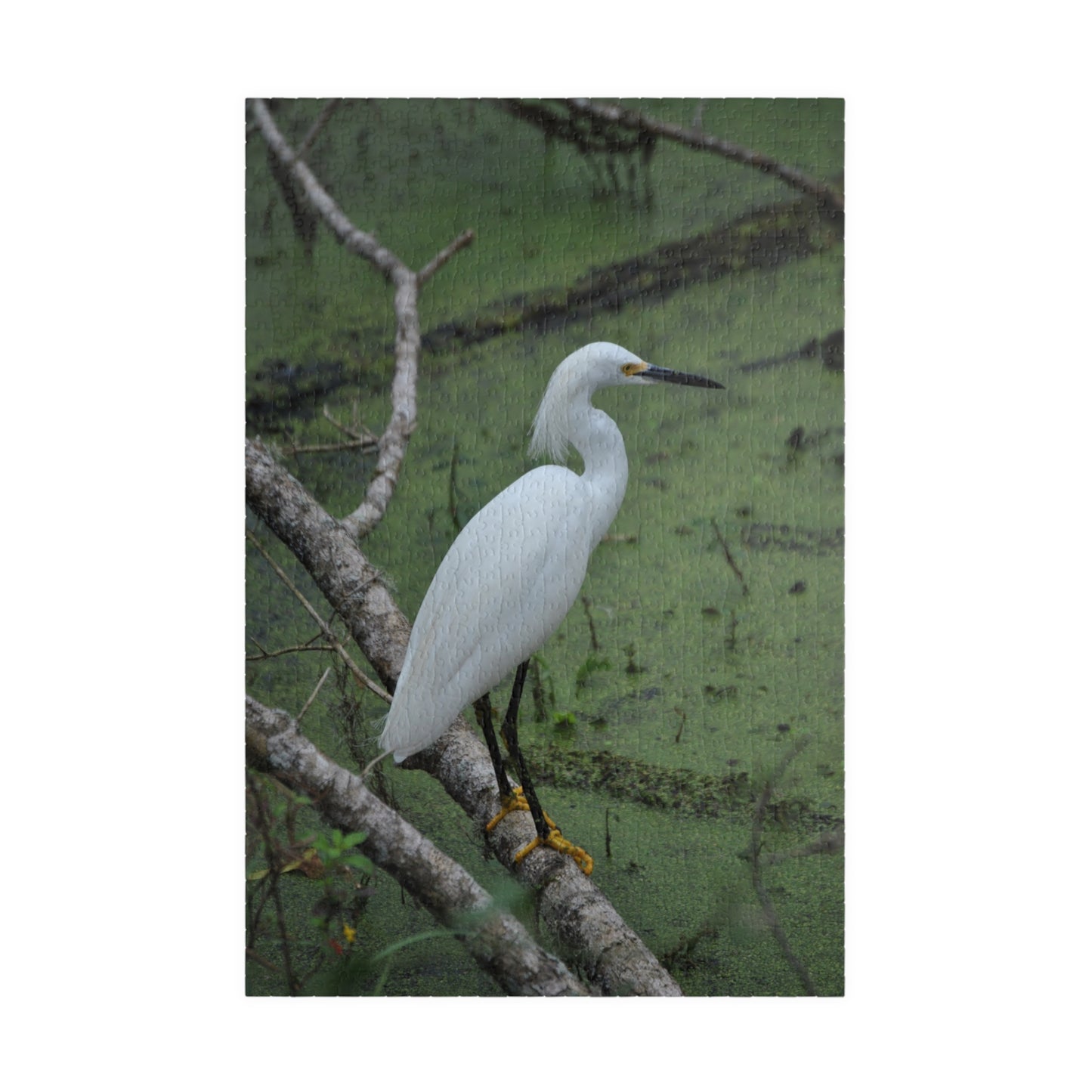 Egret Expectations: A Puzzling Escape into Serenity, Jigsaw Puzzle, Little Egret