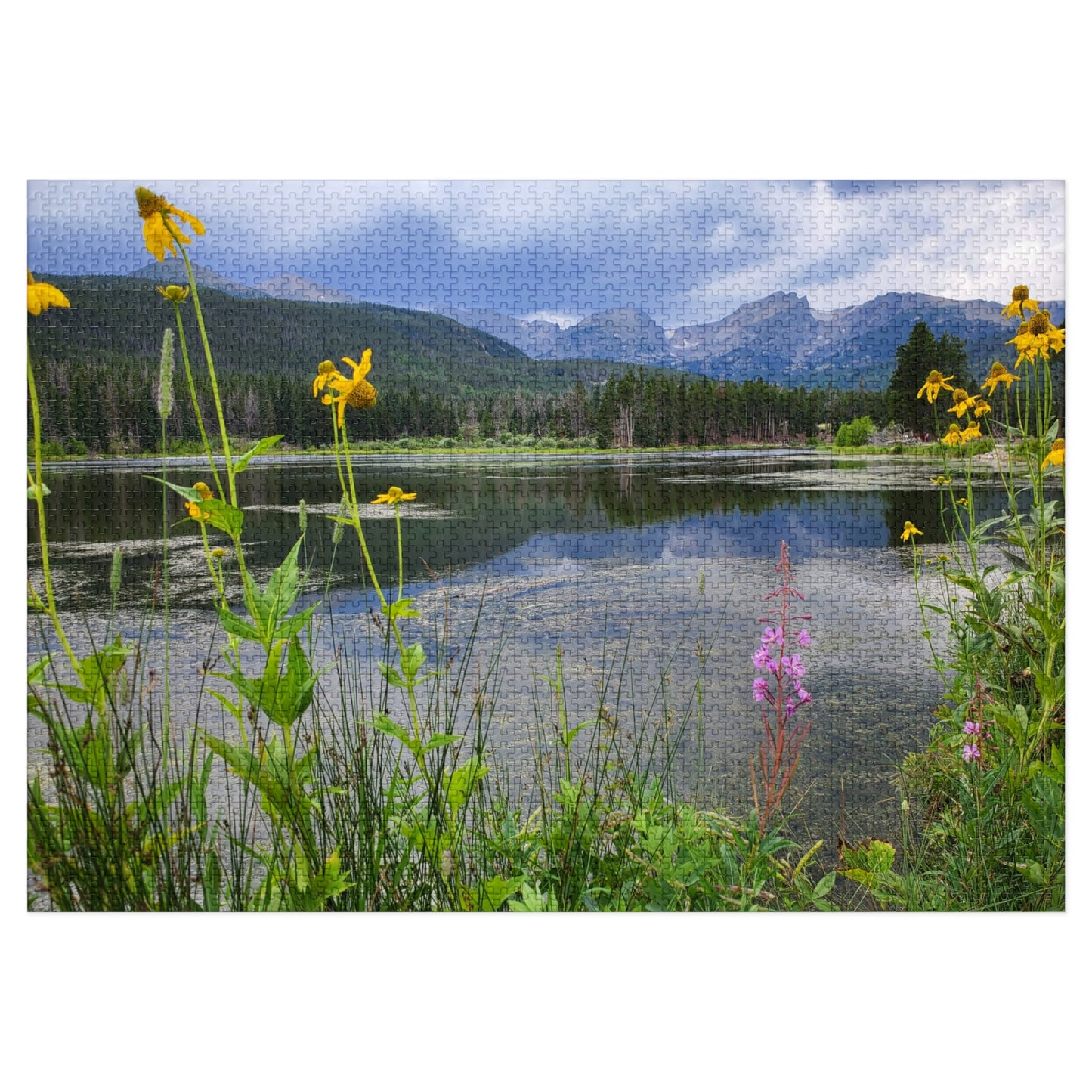 A Walk to Remember, Now in 2,000 Tiny Pieces, Jigsaw Puzzle, Rocky Mountain National Park