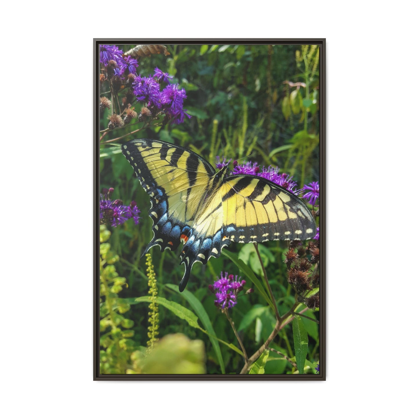 Tiger in the Wildflowers