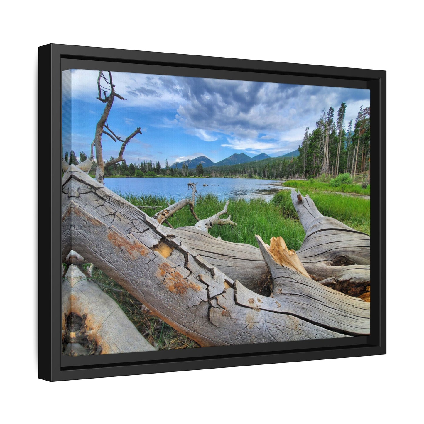Sprague Lake