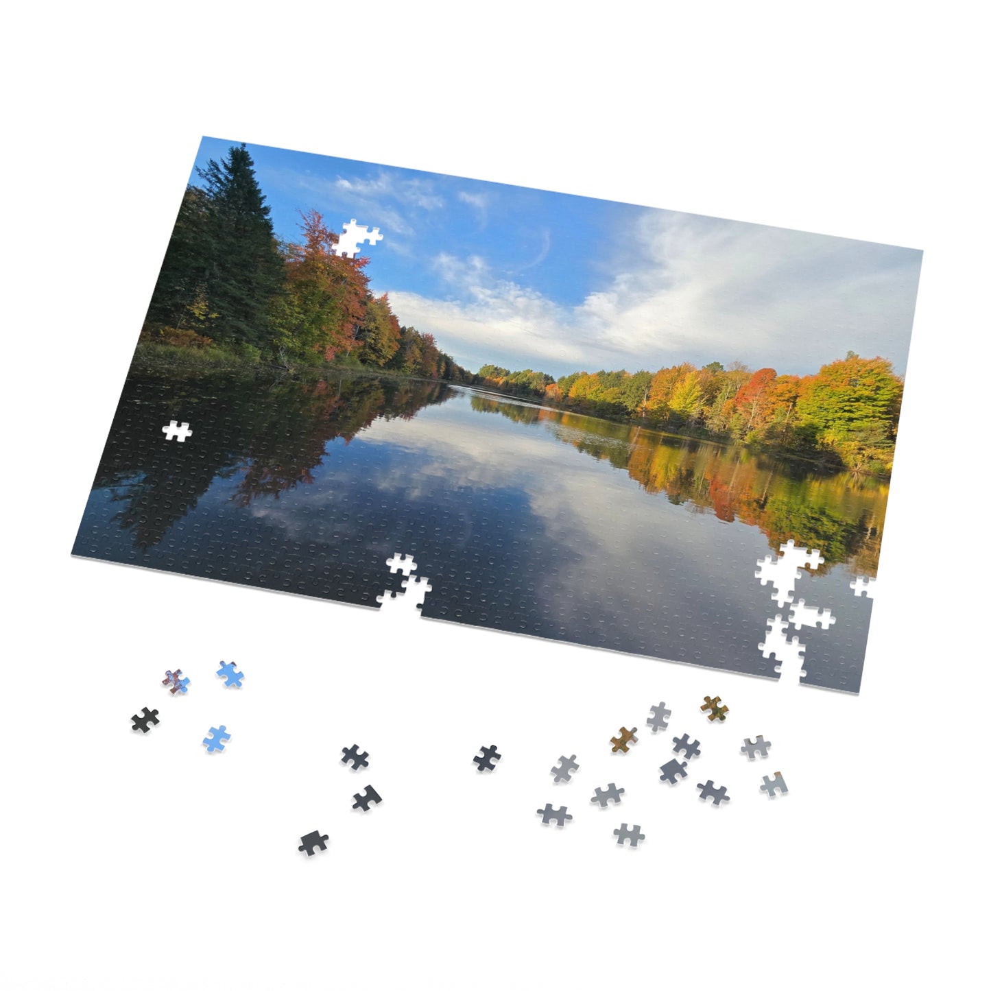 Pond Reflections, Nature Puzzle