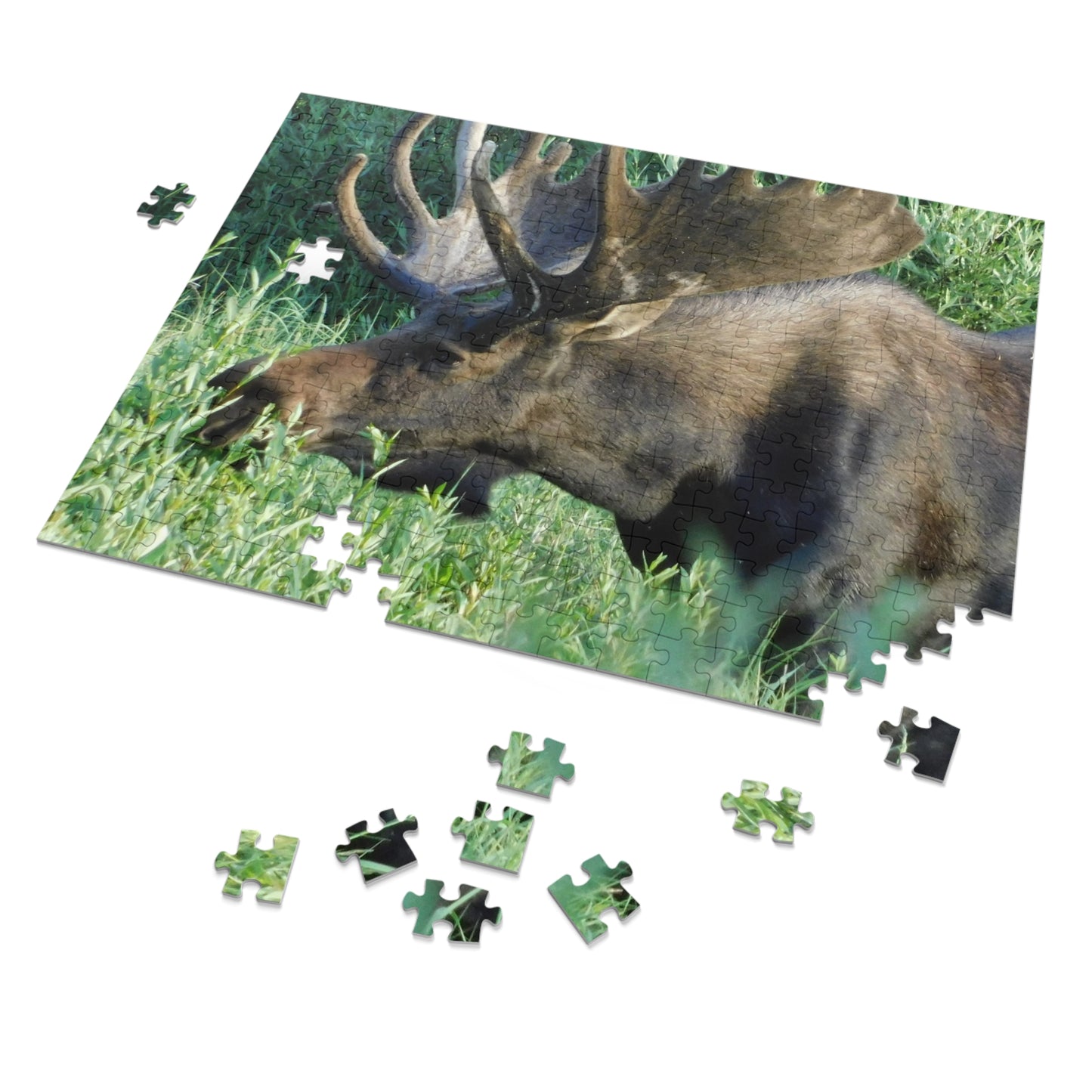 Moose on the Loose: Puzzle Edition, Jigsaw Puzzle, Rocky Mountain