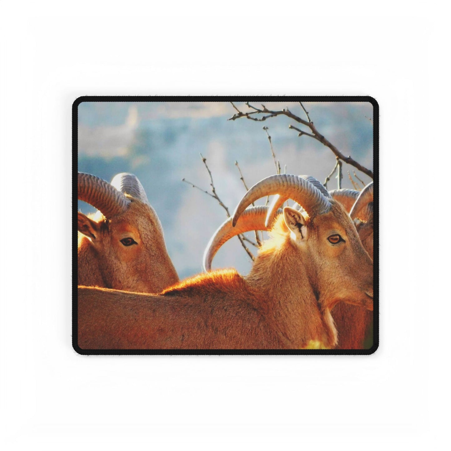 Barbary Sheep Desk Mat, Workday Escape, One Daydream at a Time