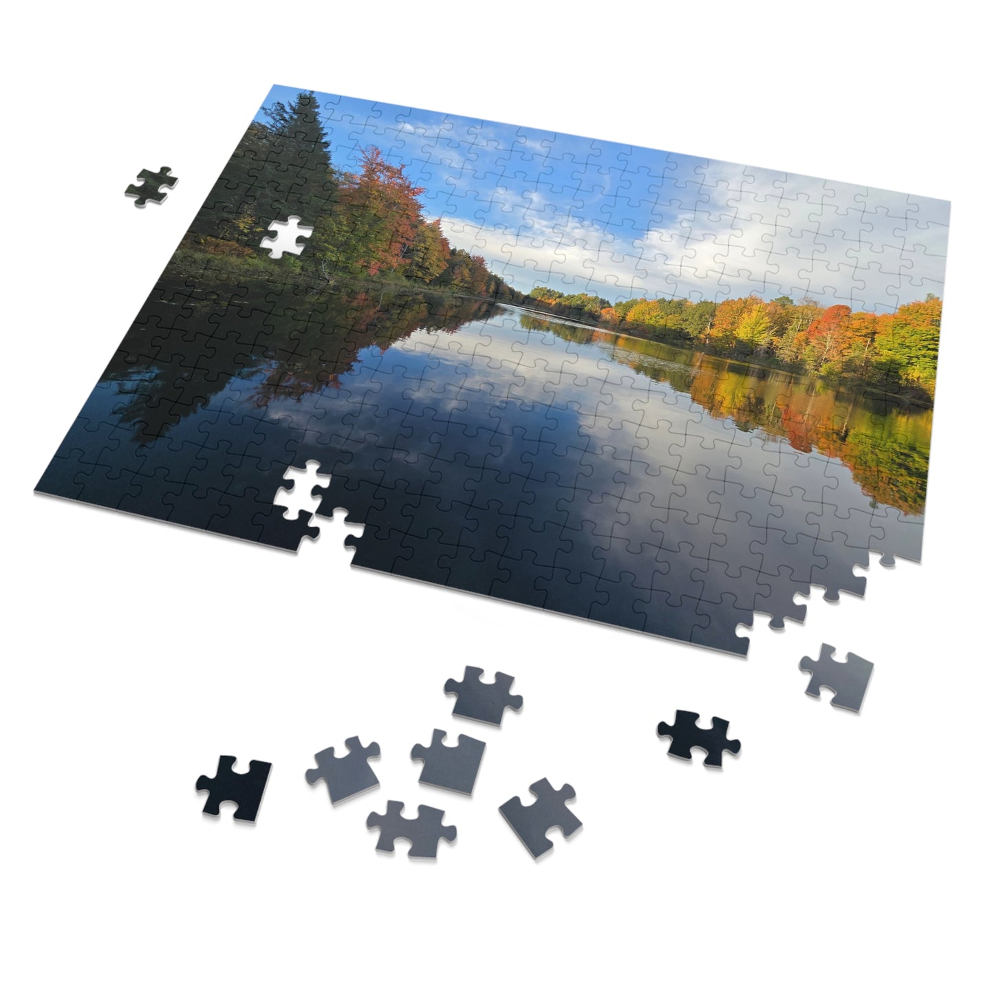Pond Reflections, Nature Puzzle