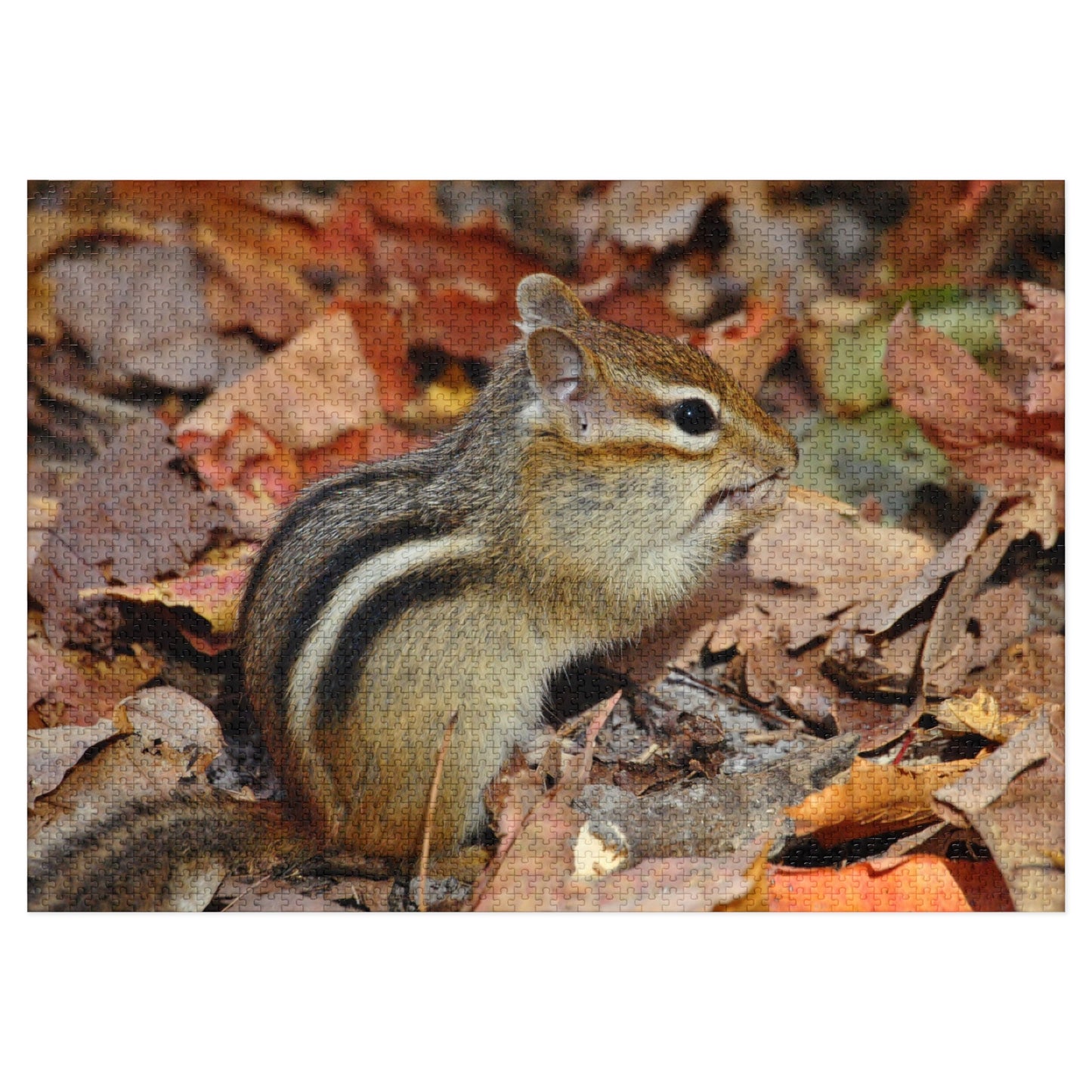 Charming Chipmunk Chaos, Jigsaw Puzzle, Chipmunk Design