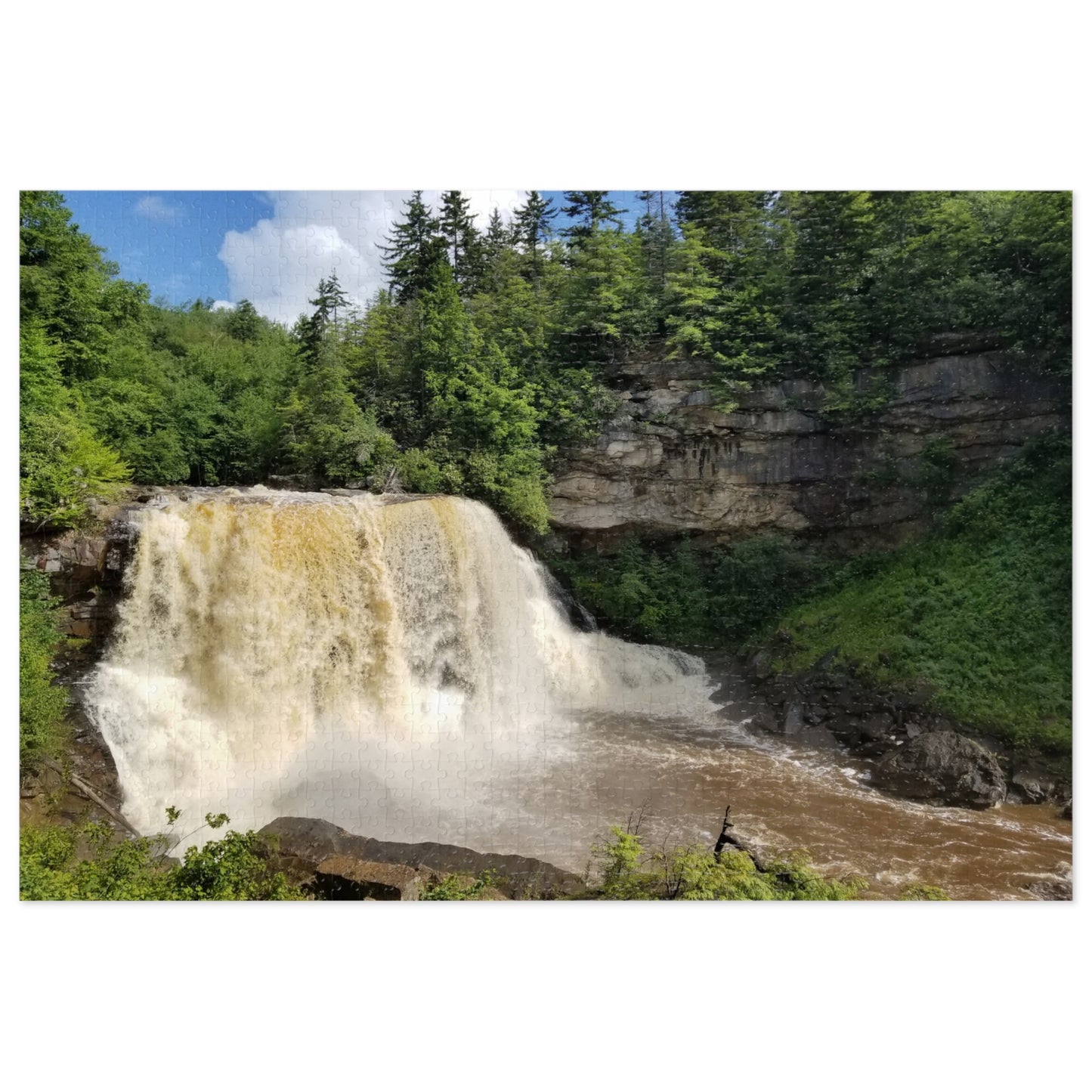 Don't Go Chasing Waterfalls... Piece Them Together, Jigsaw Puzzle, Blackwater Falls