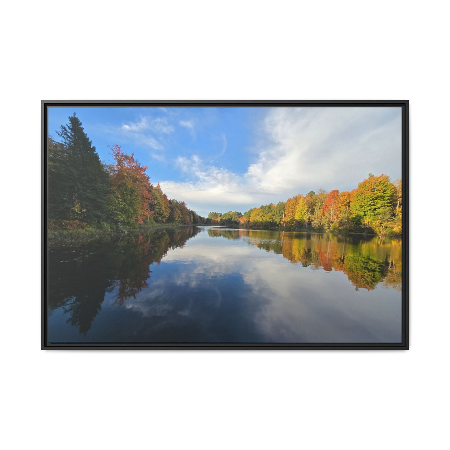 Remington Pond: Nature Showing Off Again