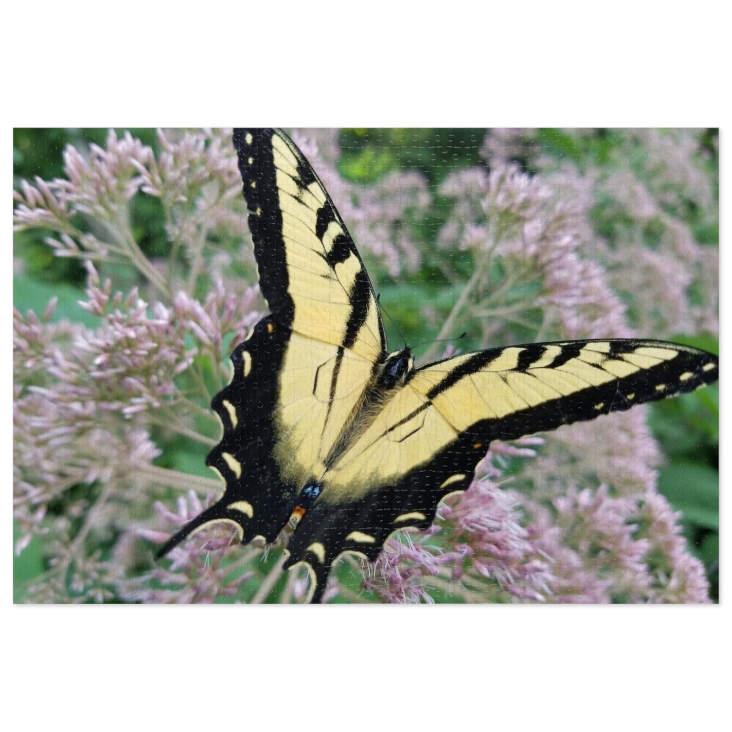 Winged Wonder on the Waterfront, Jigsaw Puzzle, Ohio River, Butterfly