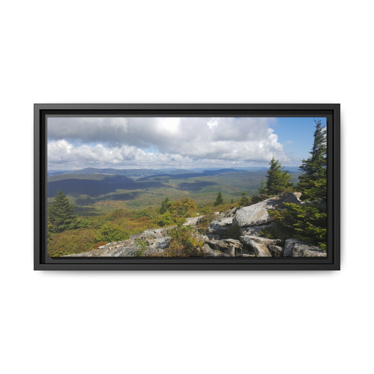 Spruce Knob Summit View