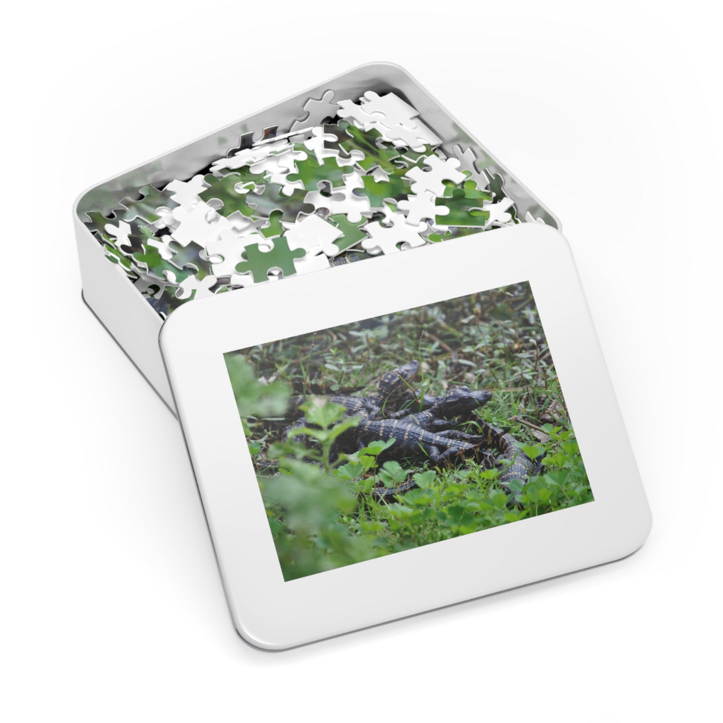 Get Snappy with Our Baby Alligator Puzzle!, Jigsaw Puzzle with Tin