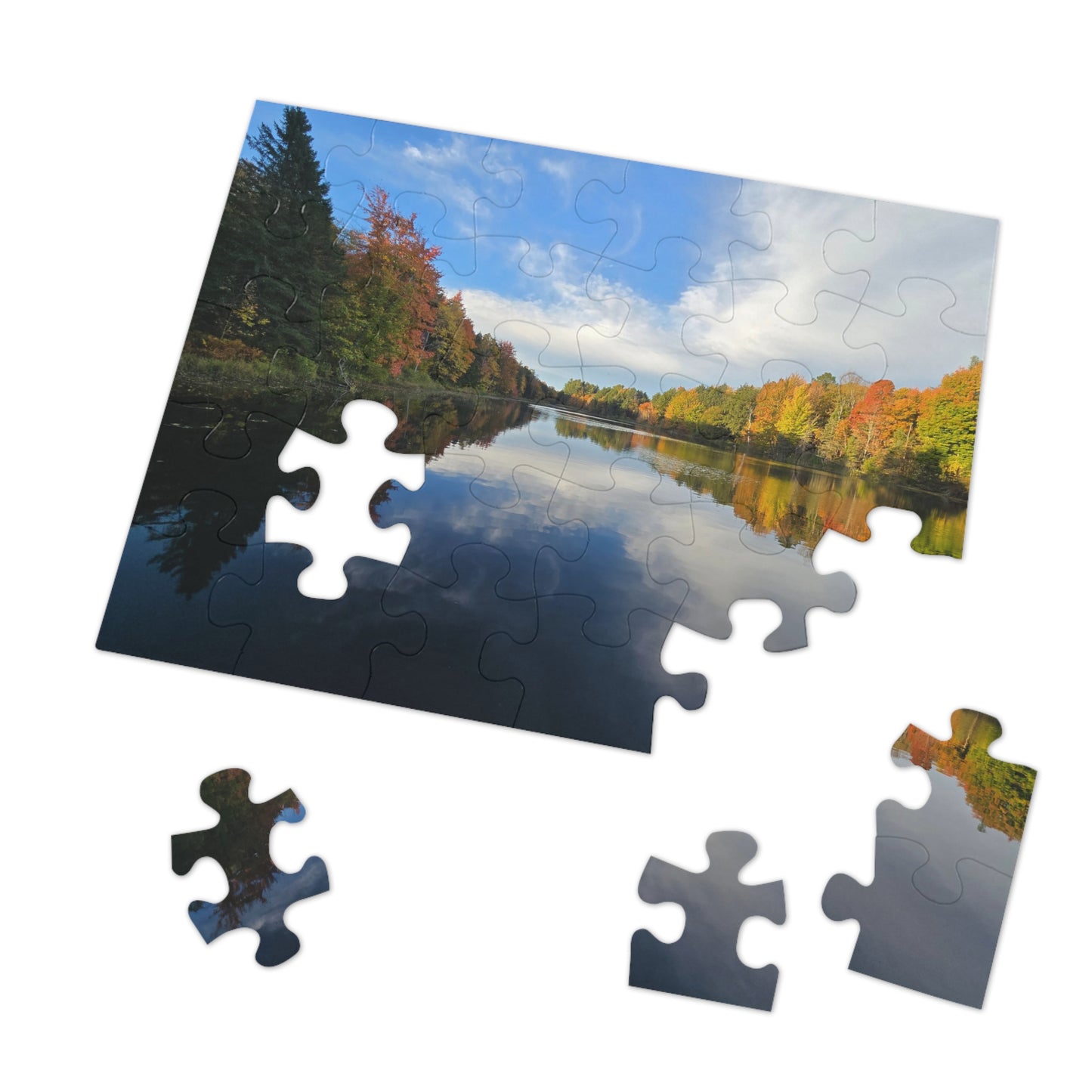 Pond Reflections, Nature Puzzle