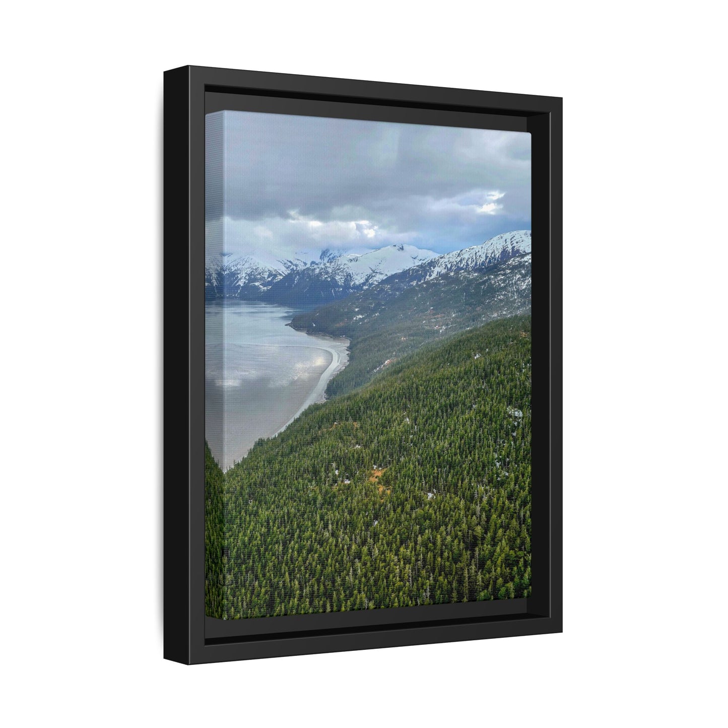 Alaska Mountains Aerial