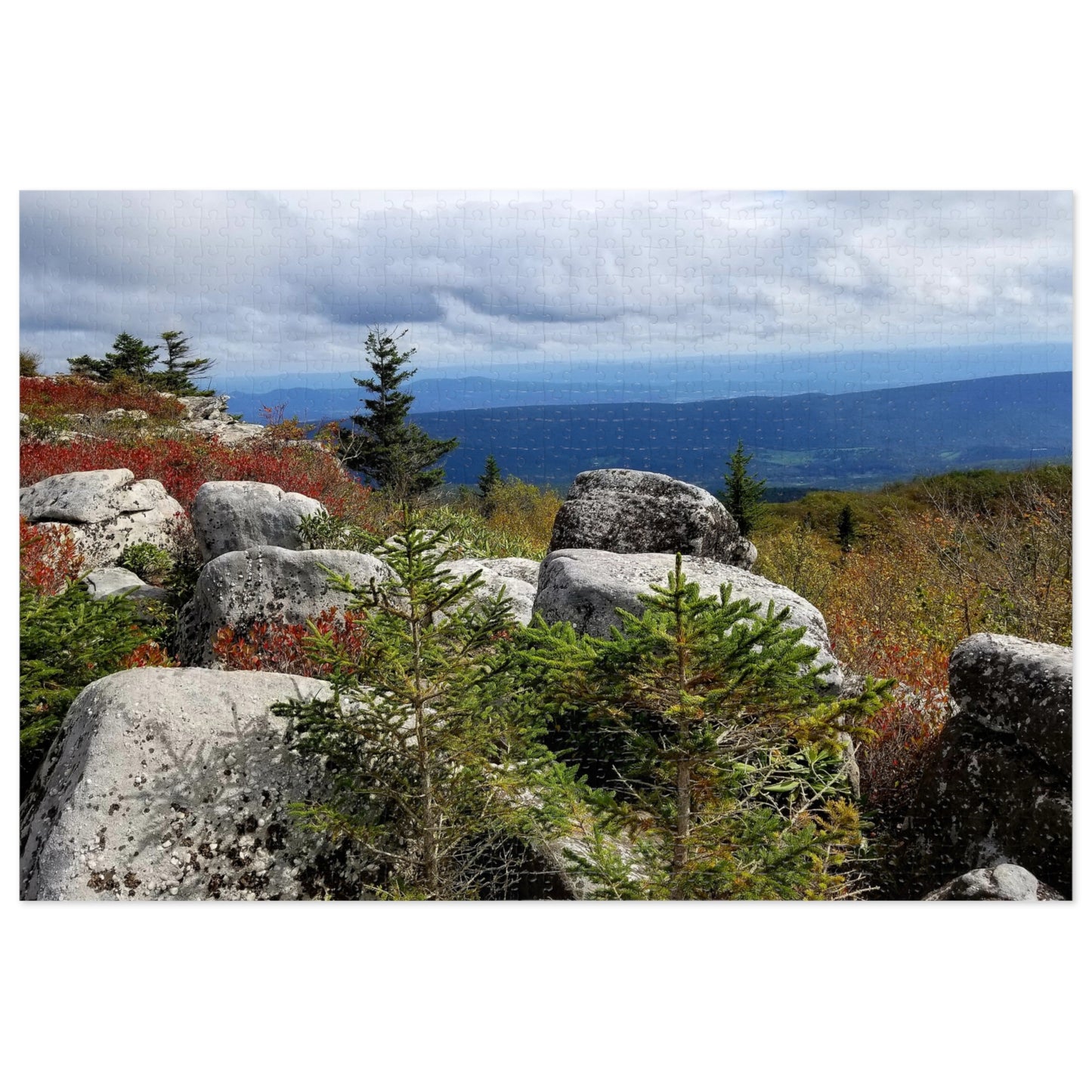 Bear Rocks: The Only Place Where You Can Get Lost—on Purpose, Jigsaw Puzzle: Bear Rocks Preserve