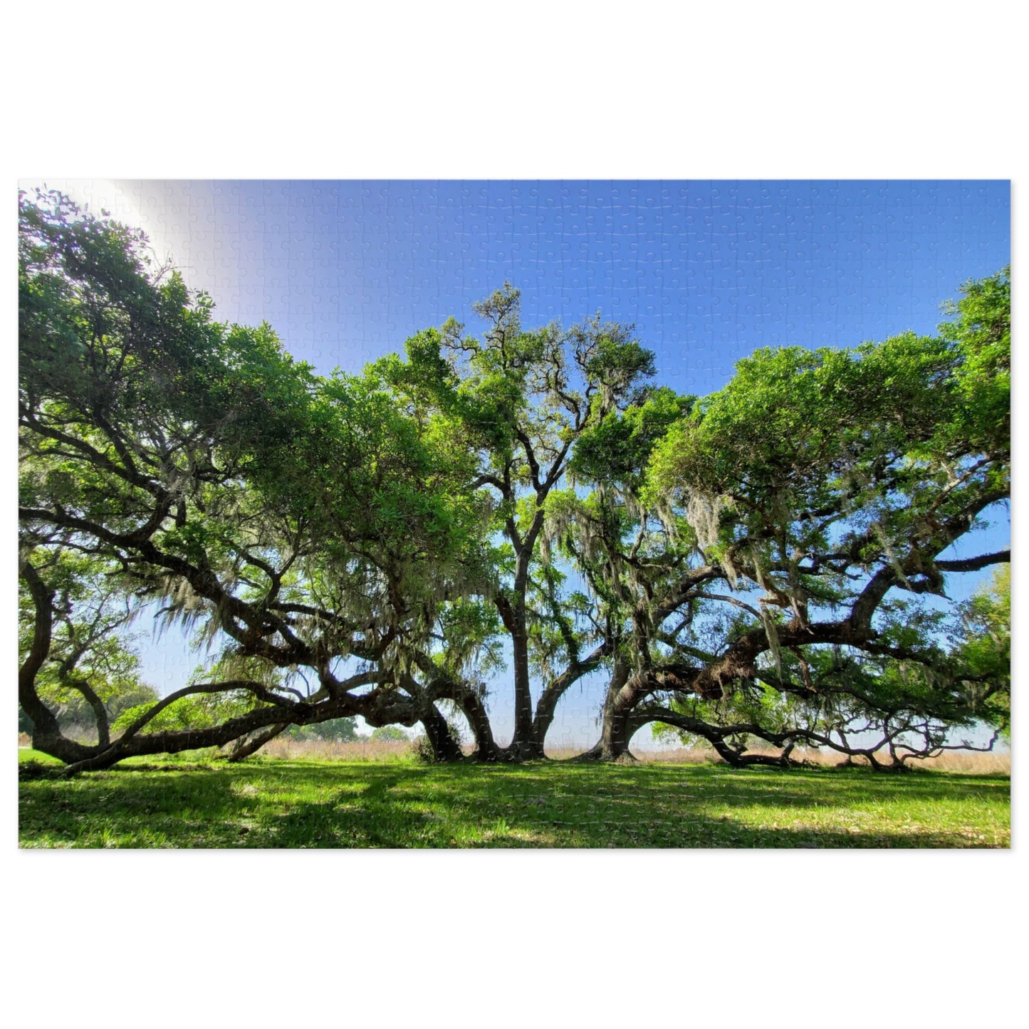 Branch Out with Our Oak Tree Puzzle!, Jigsaw Puzzle with Tin