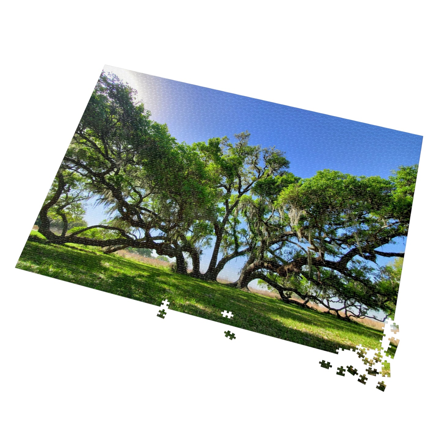 Branch Out with Our Oak Tree Puzzle!, Jigsaw Puzzle with Tin