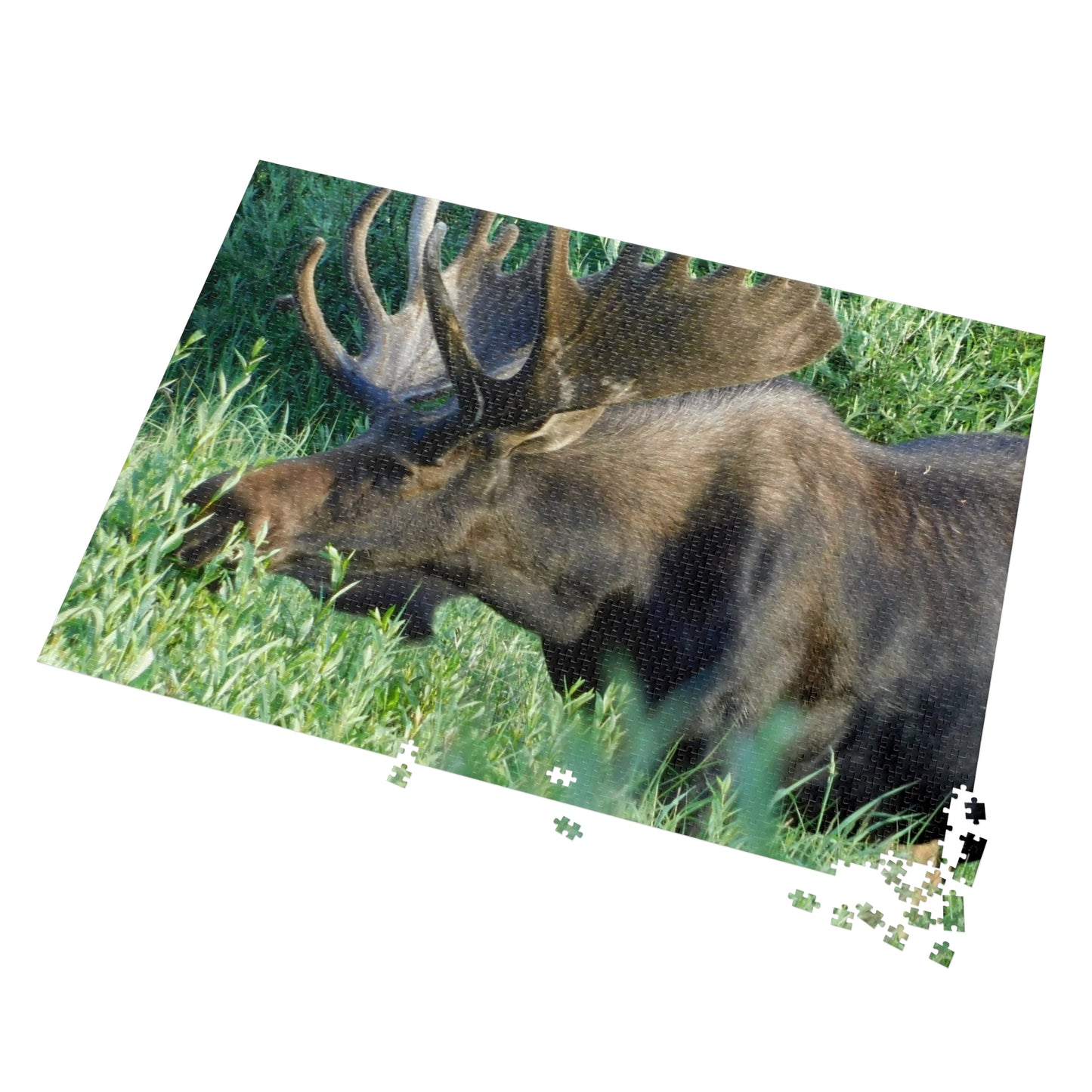 Moose on the Loose: Puzzle Edition, Jigsaw Puzzle, Rocky Mountain